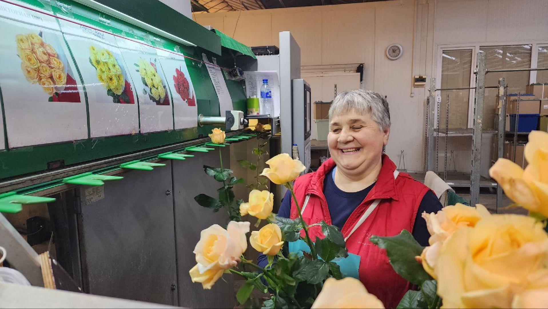 Дмитров, ТК Подосинки, Розы, Минсельхоз,