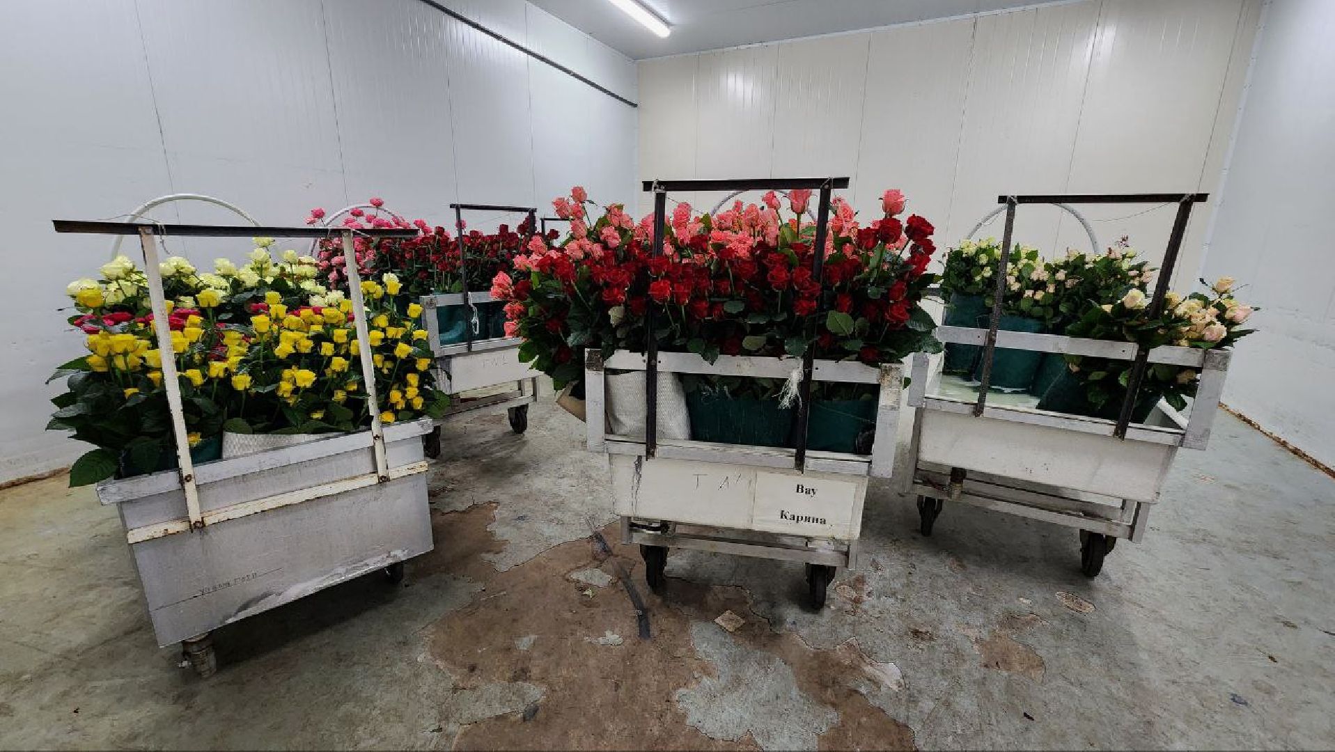 Дмитров, ТК Подосинки, Розы, Минсельхоз,