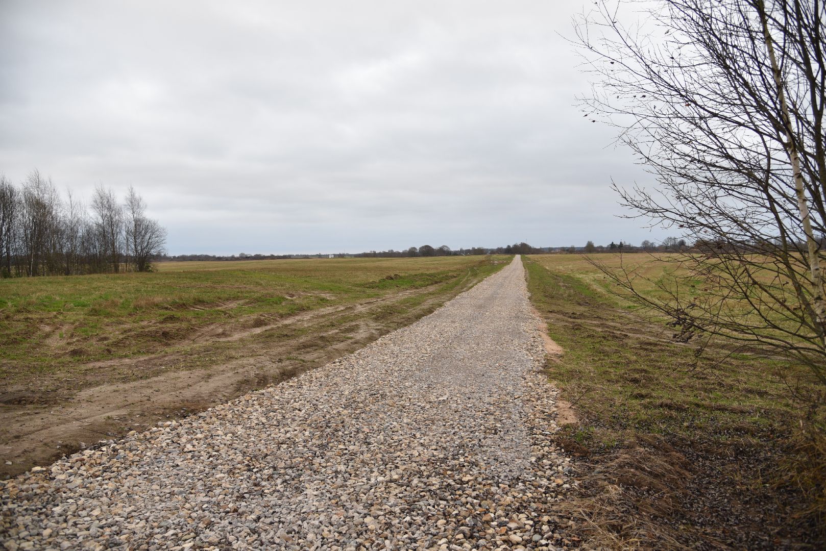 лотошино, ремонт дорог, дороги,