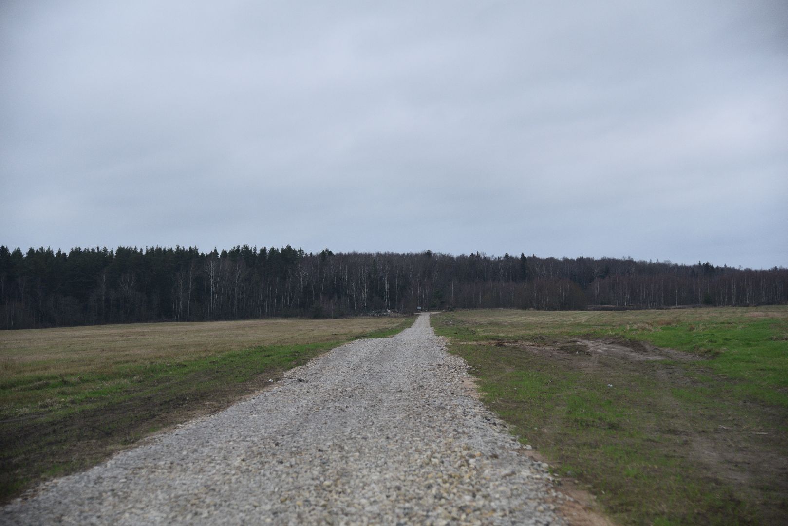 лотошино, ремонт дорог, дороги,