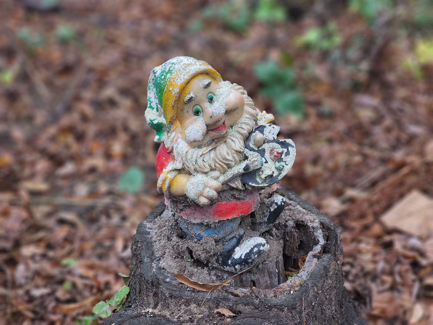 королёв, выездная администрация в королеве , встреча власти с жителями ,