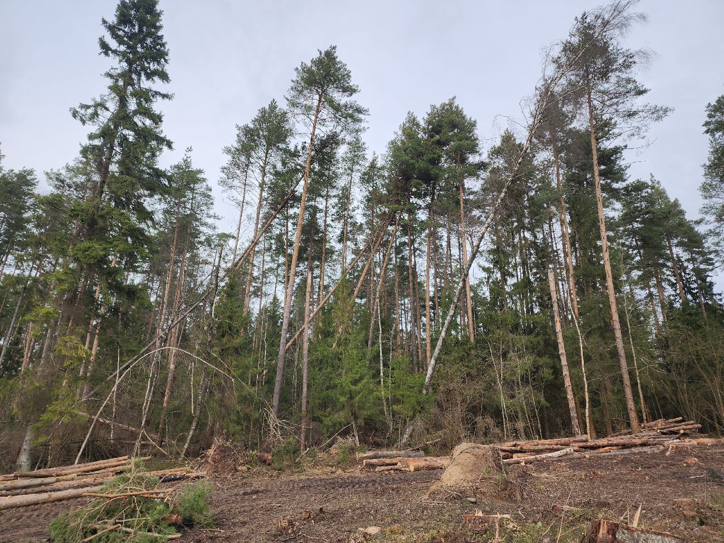 Егорьевск, Подмосковье, Московская область,