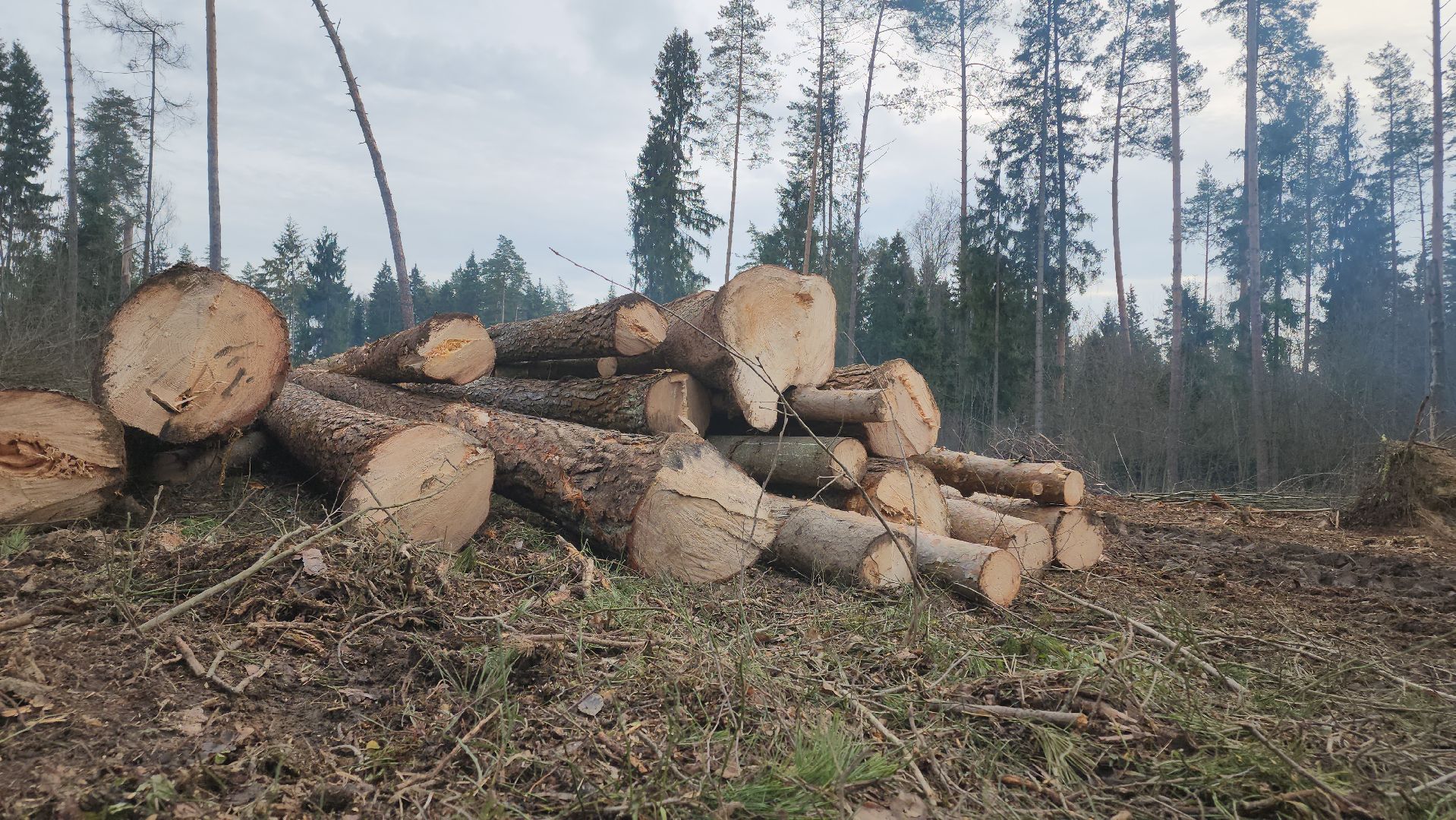 Егорьевск, Подмосковье, Московская область,