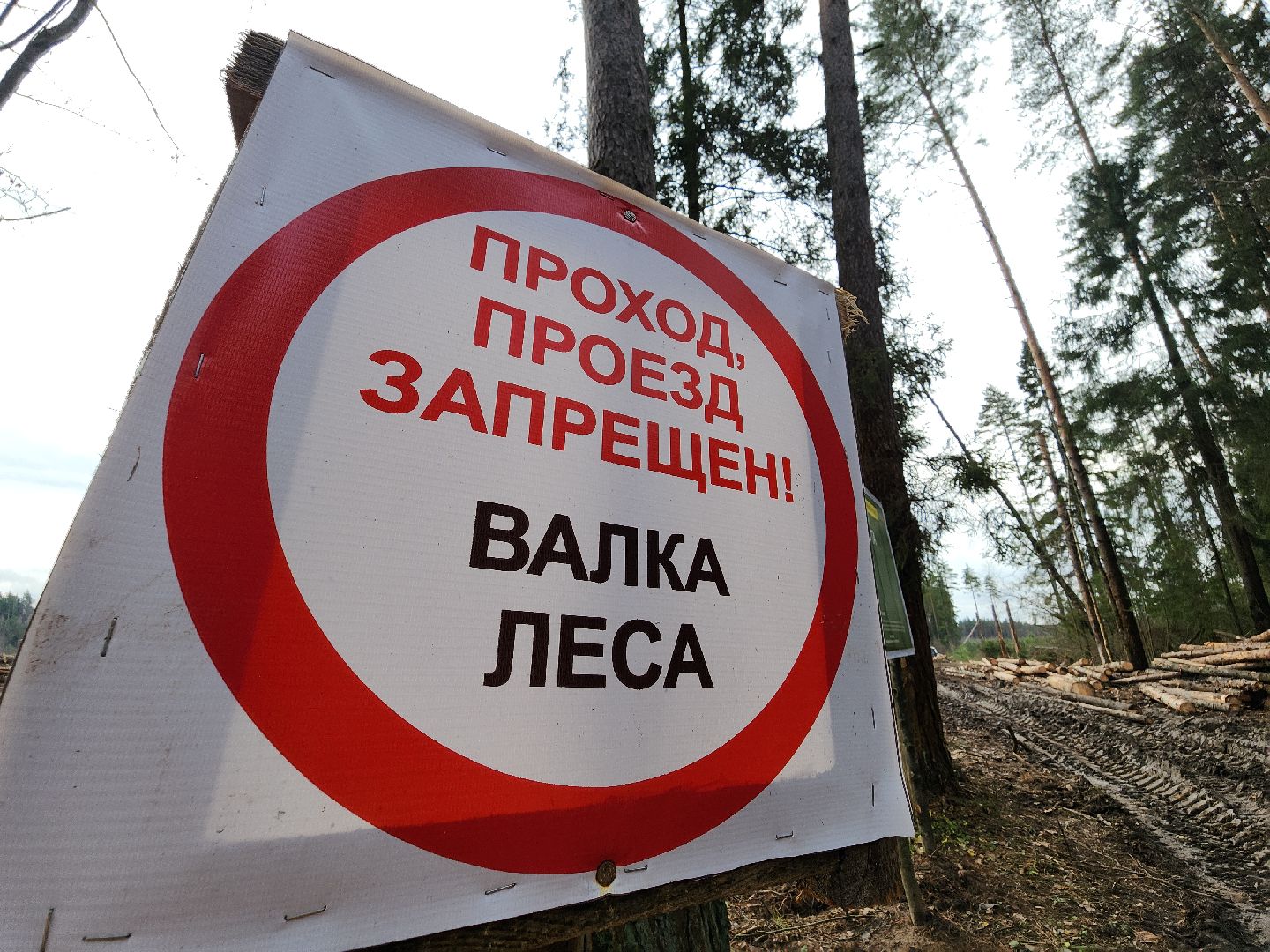 Егорьевск, Подмосковье, Московская область,