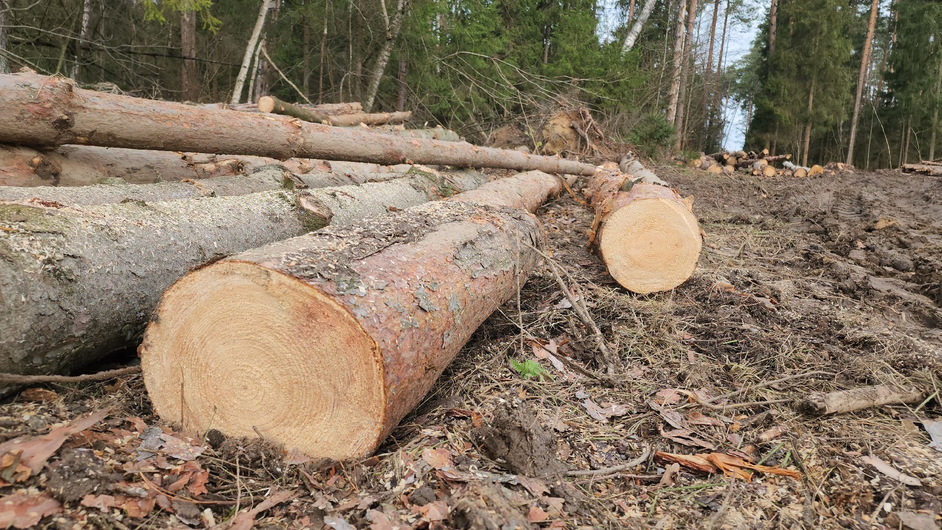 Егорьевск, Подмосковье, Московская область,