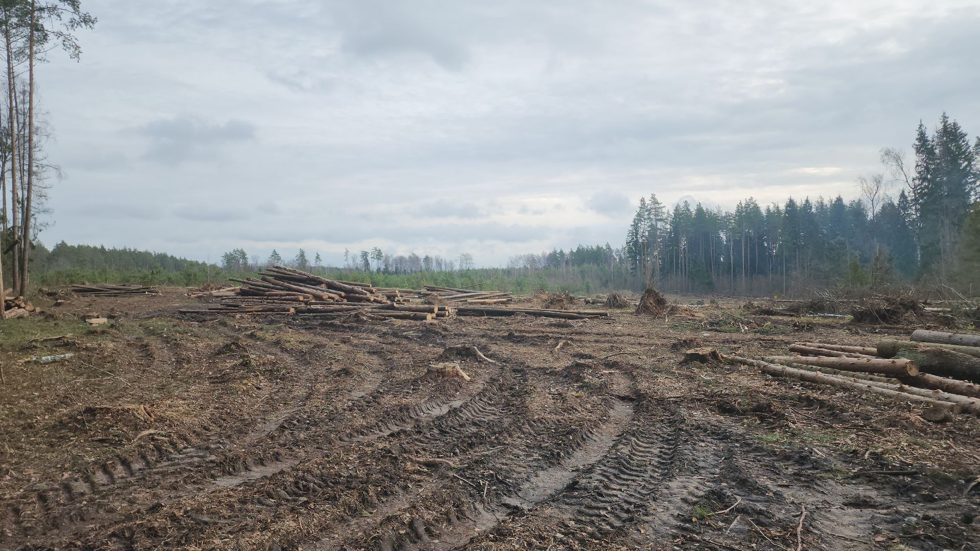 Егорьевск, Подмосковье, Московская область,