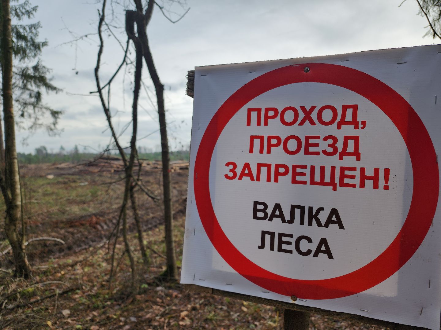 Егорьевск, Подмосковье, Московская область,