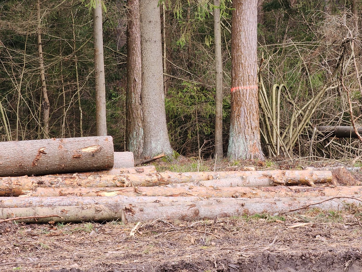 Егорьевск, Подмосковье, Московская область,