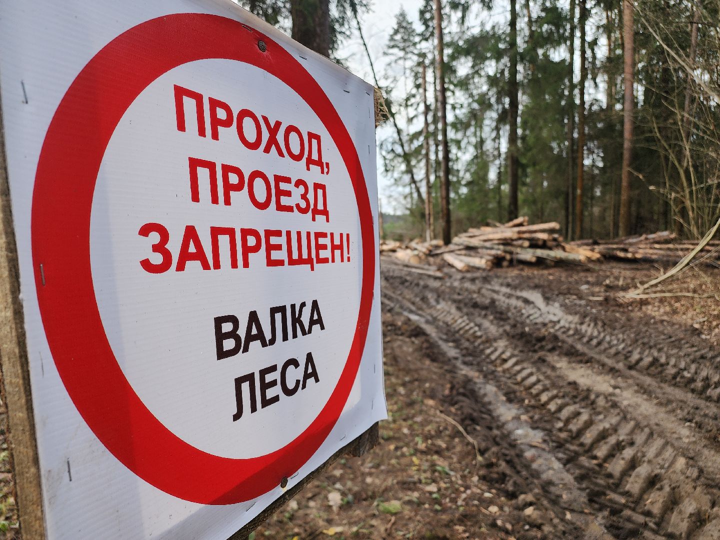 Егорьевск, Подмосковье, Московская область,