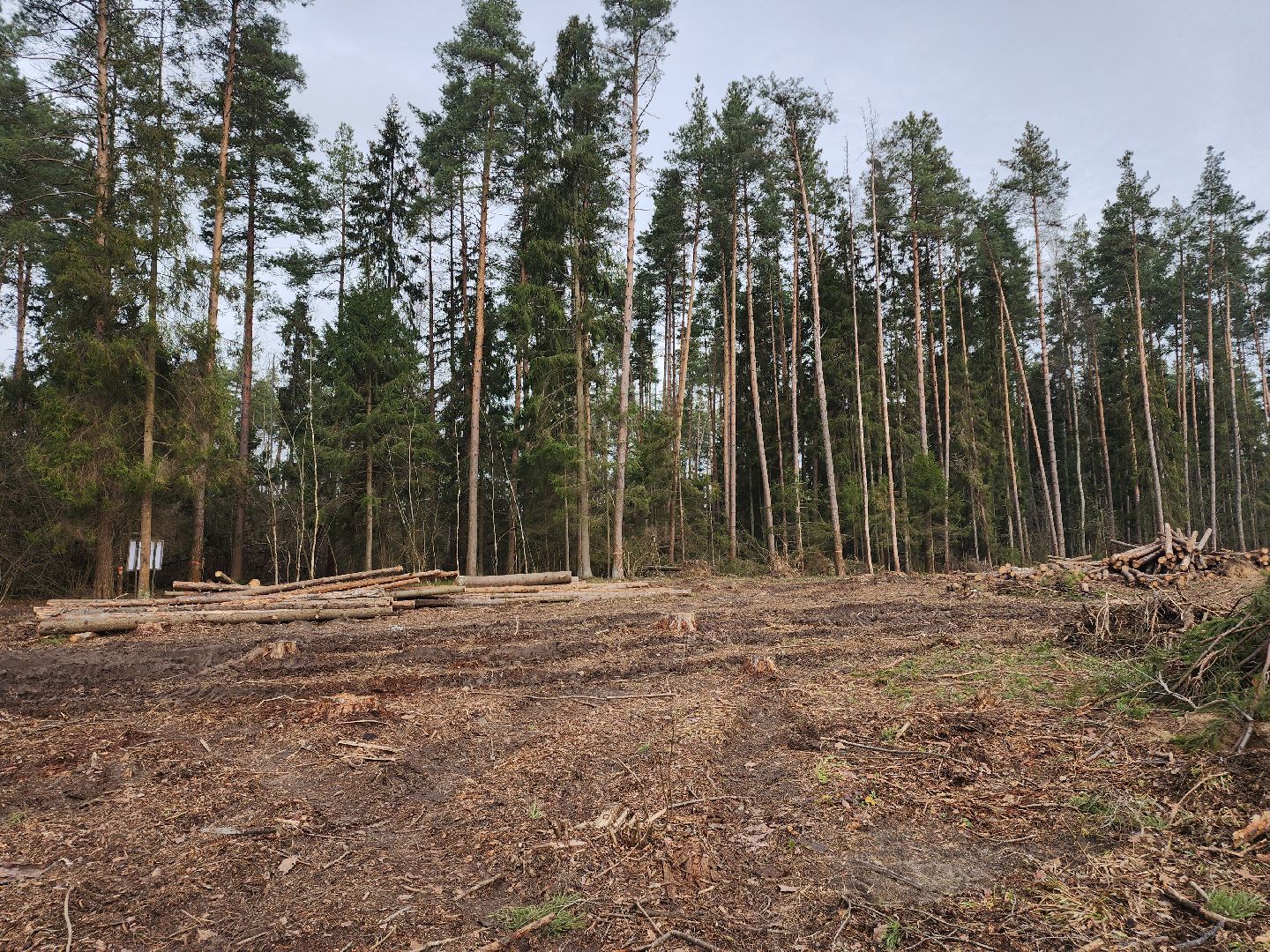 Егорьевск, Подмосковье, Московская область,