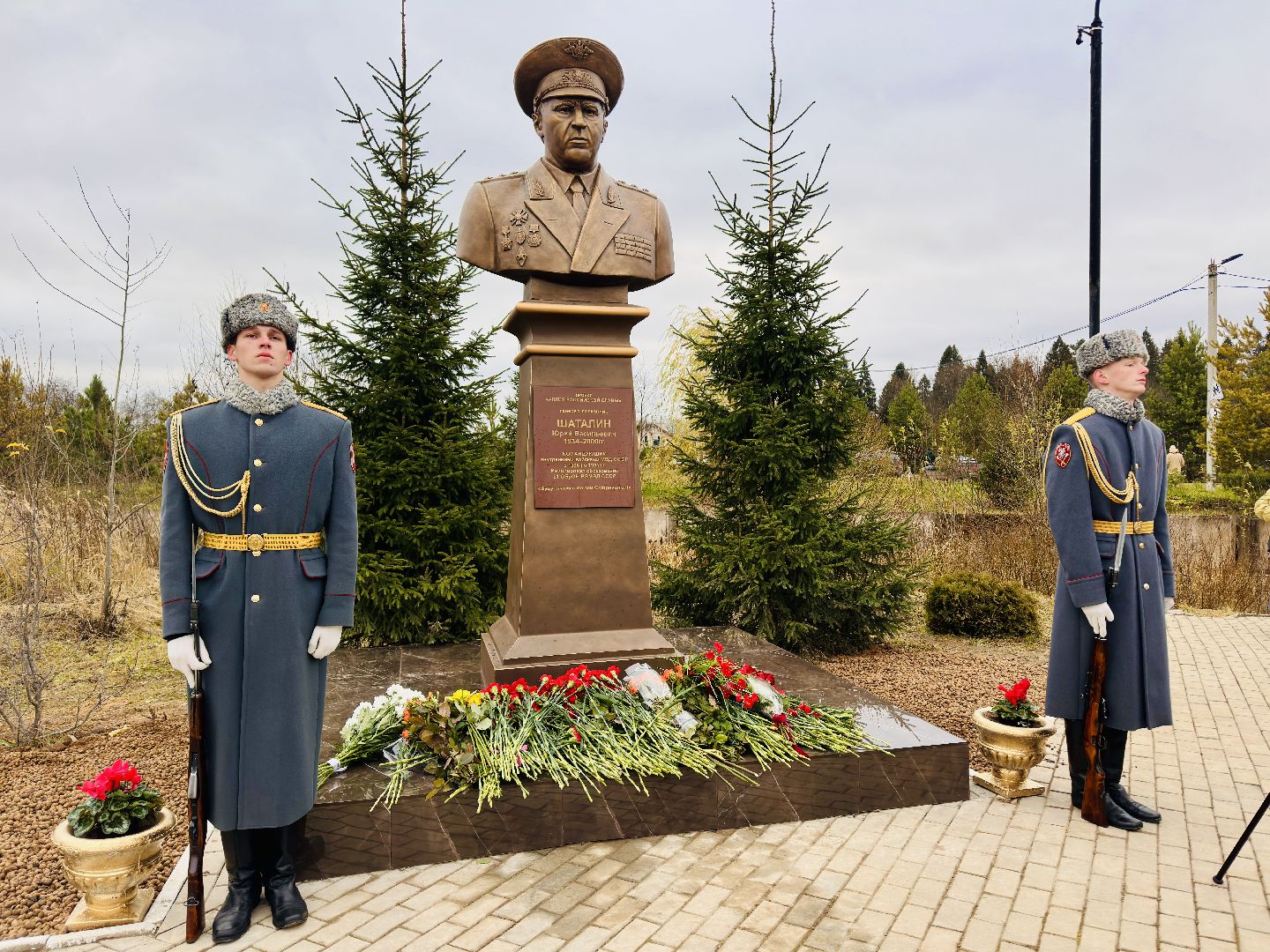 пушкинский городской округ, возложение цветов, открытие памятника,