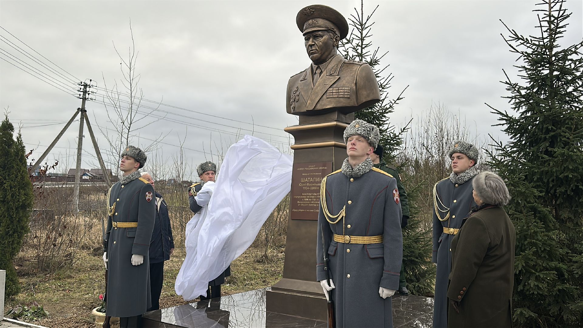 пушкинский городской округ, возложение цветов, открытие памятника,