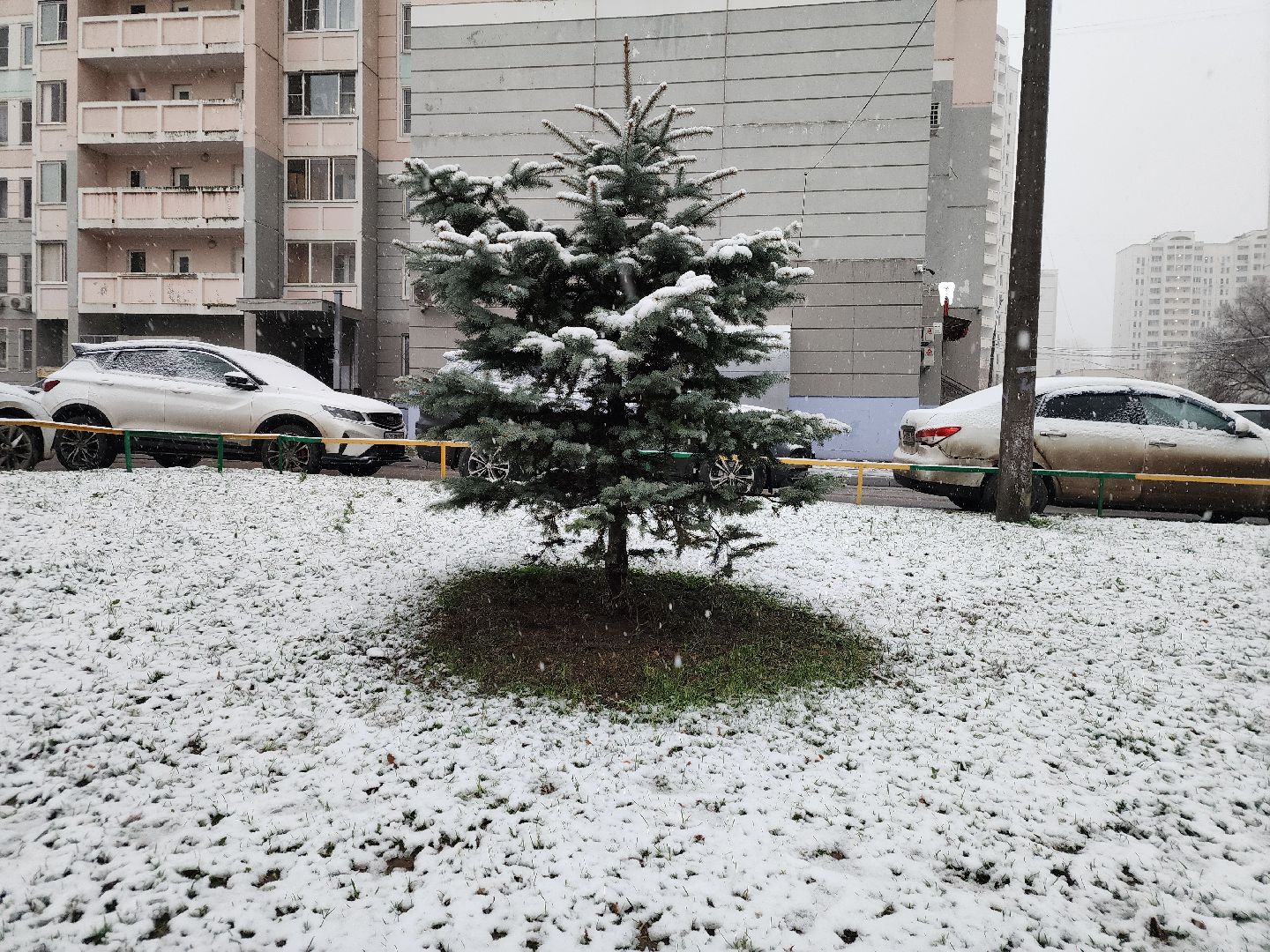 подольск, первый снег, Снежки, погода,