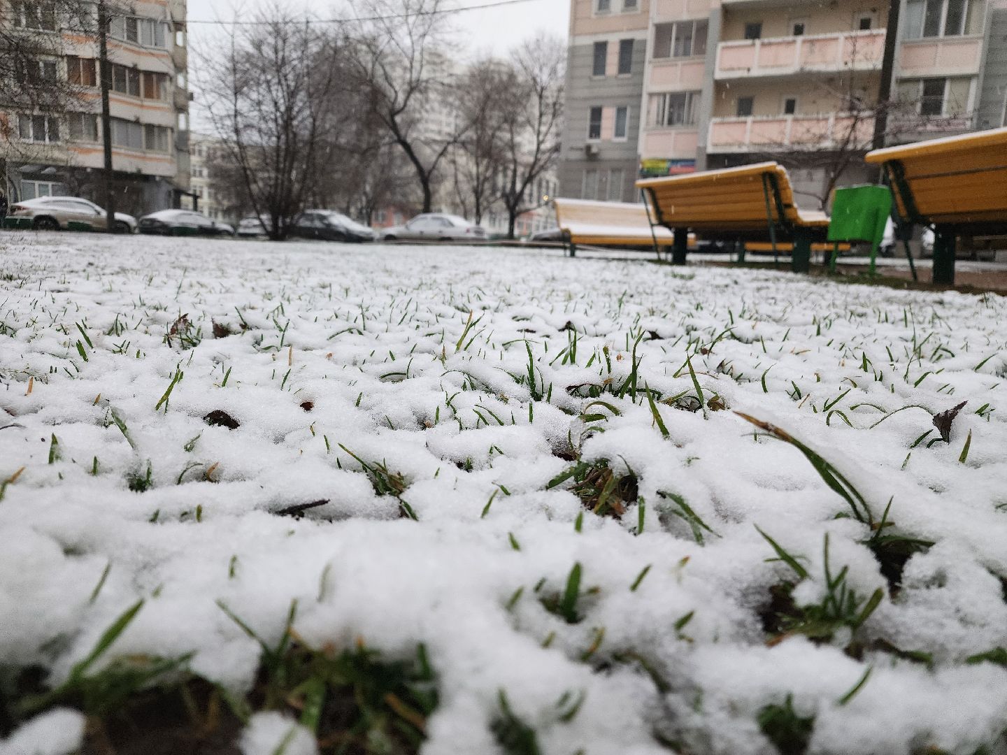 подольск, первый снег, Снежки, погода,