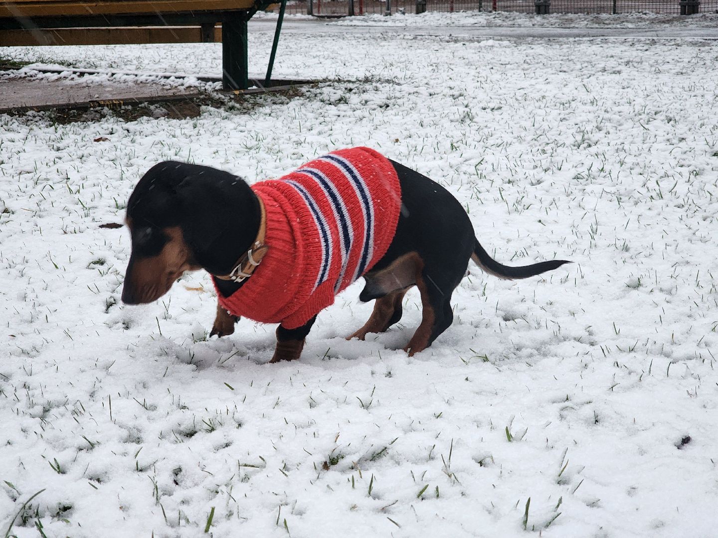 подольск, первый снег, Снежки, погода,