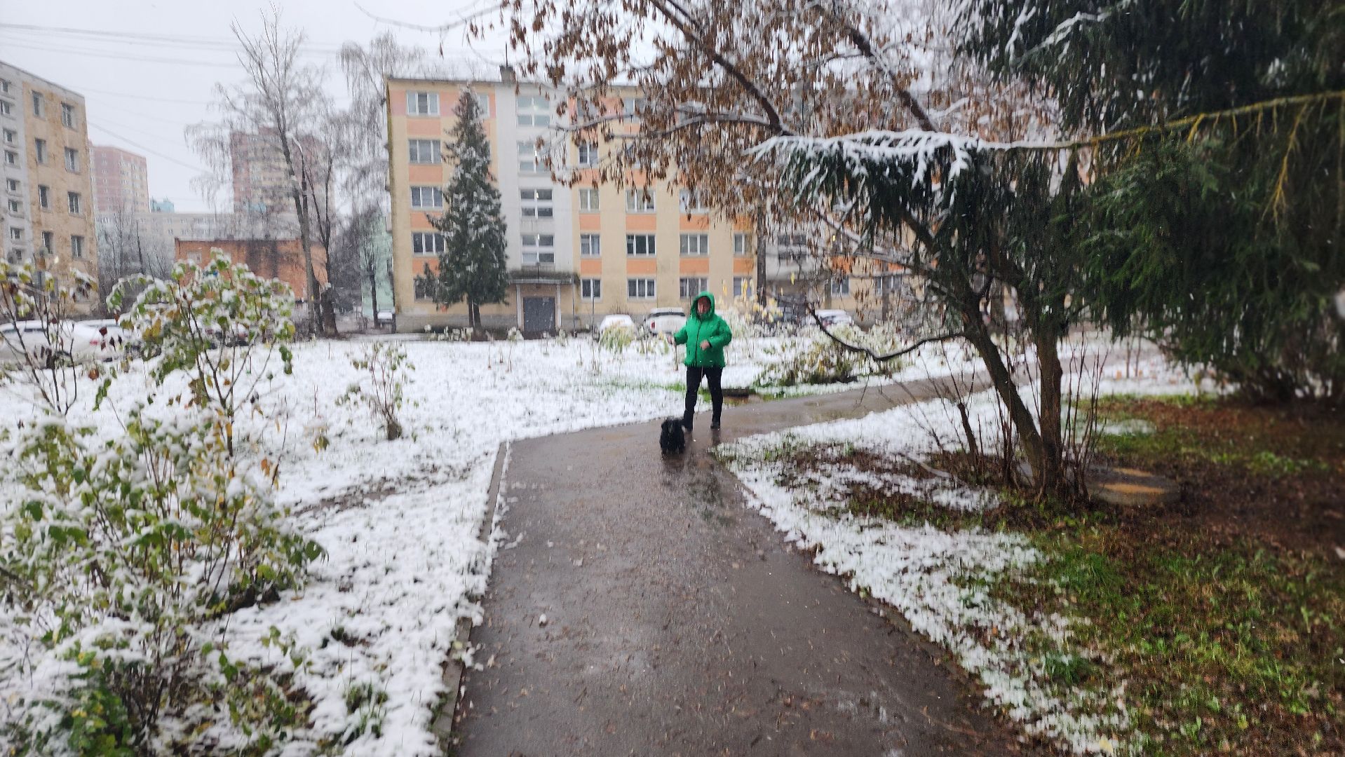 клин, снег, карла маркса,