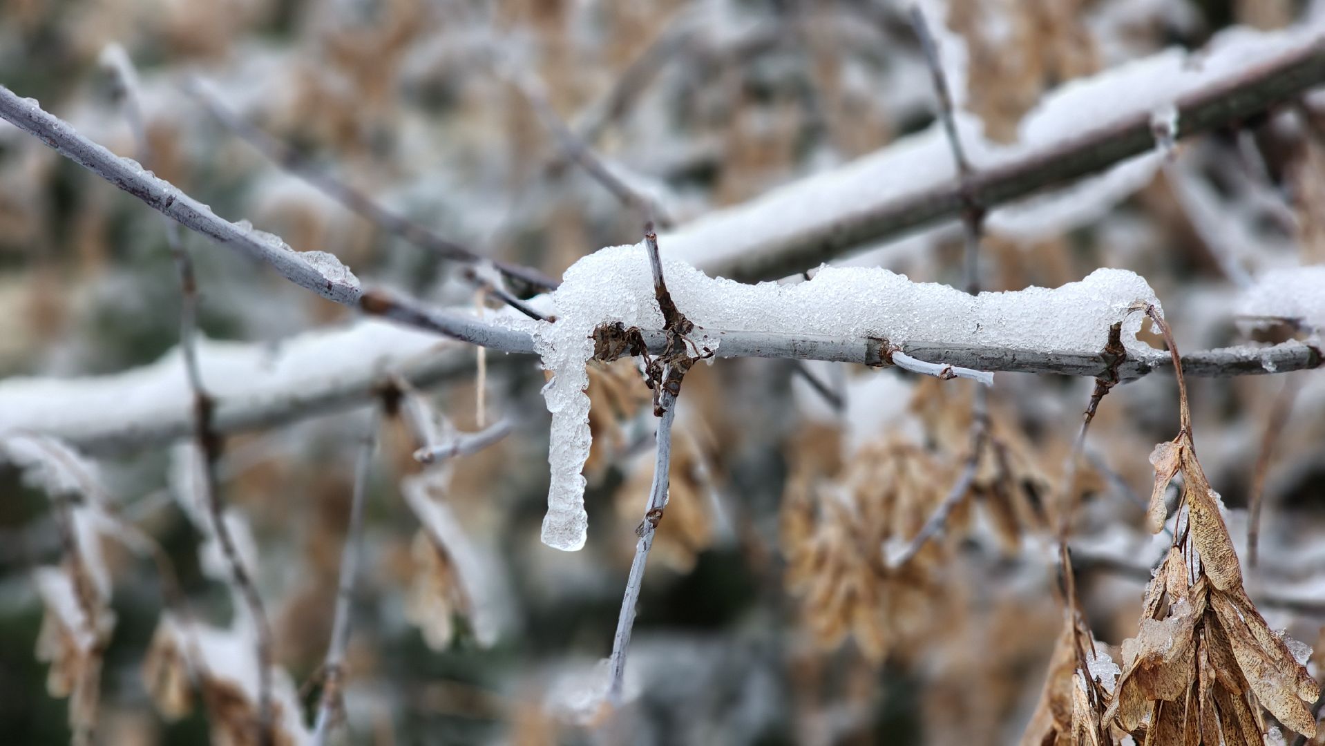 клин, снег, карла маркса,