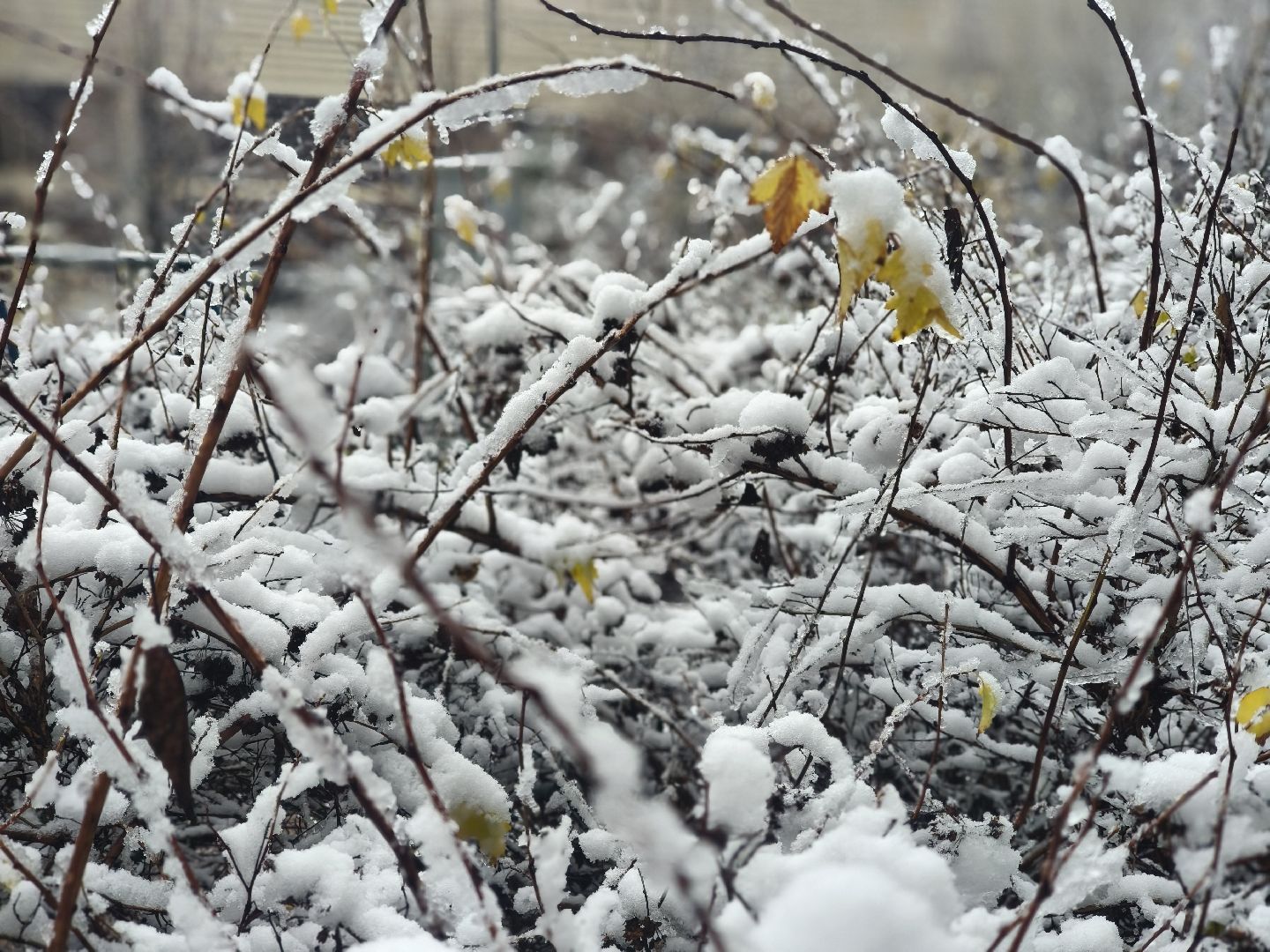 снег, одинцовский округ, коммунальная служба,