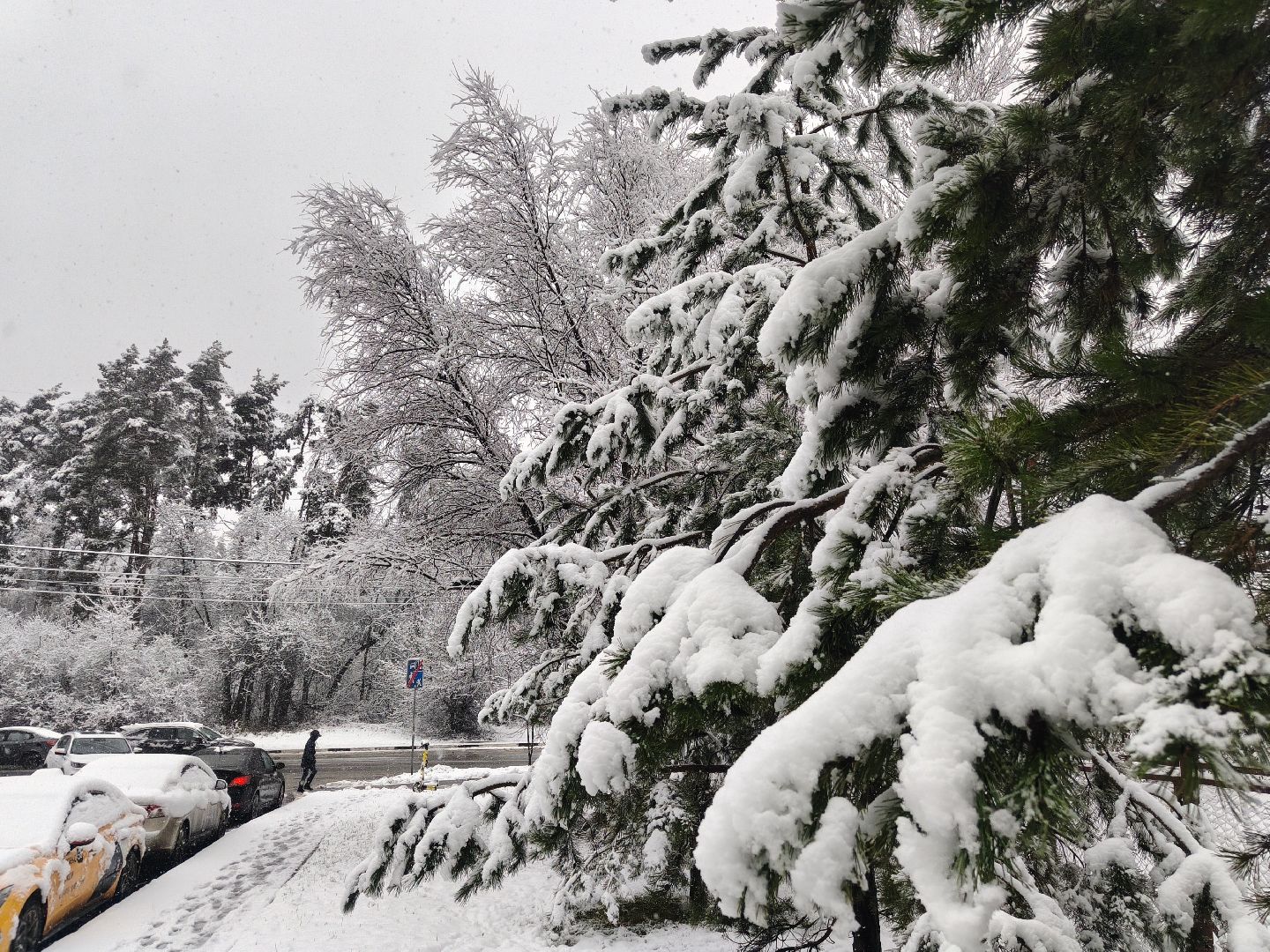 снег, одинцовский округ, коммунальная служба,