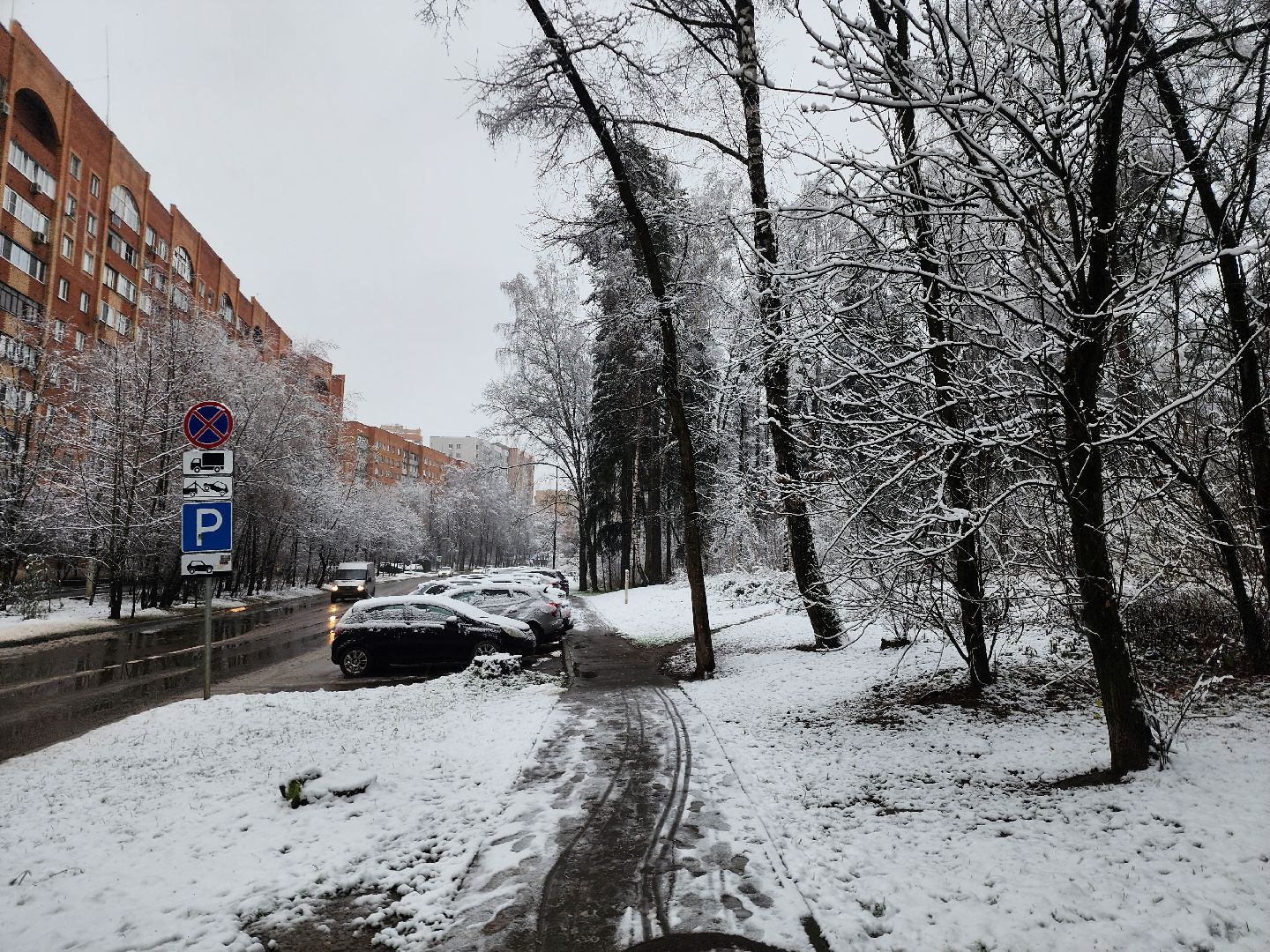 красногорск, первый снег,