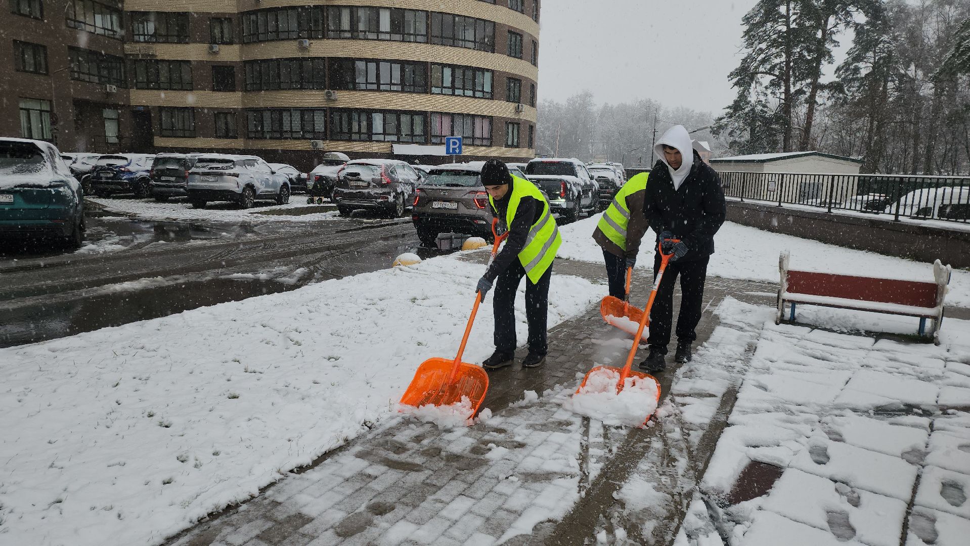 красногорск, первый снег,
