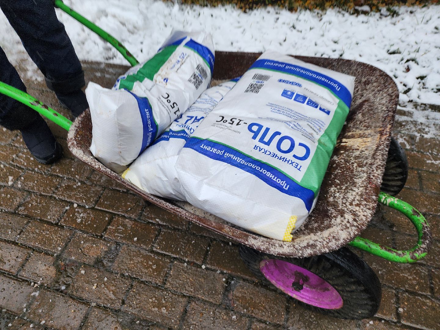 красногорск, первый снег,