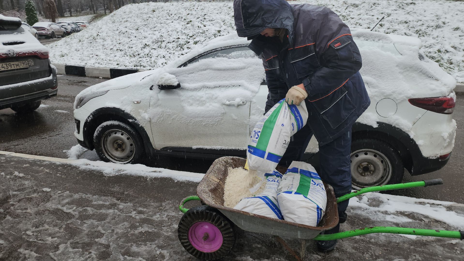 красногорск, первый снег,