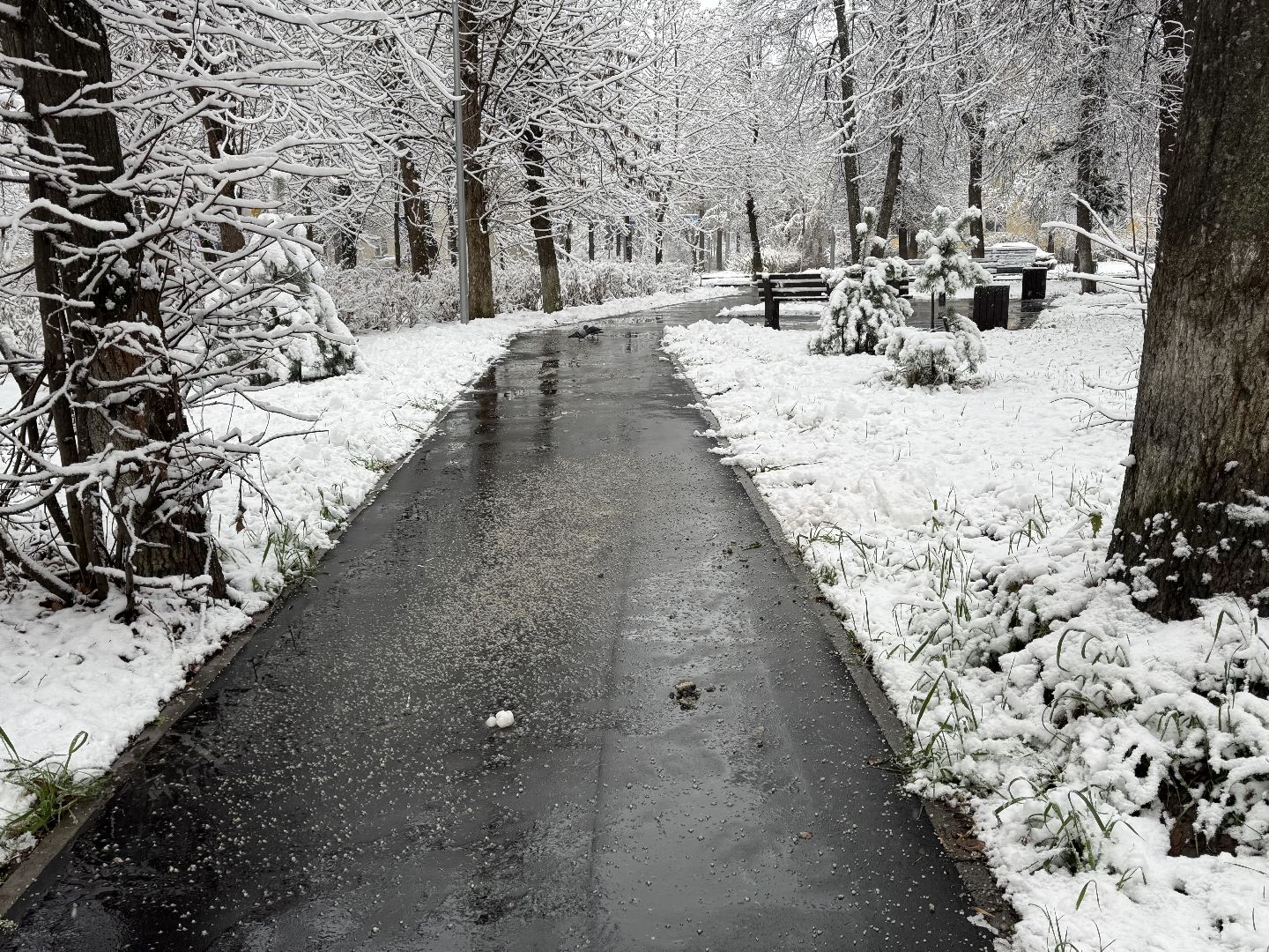 Пересвет , Сергиево-Посадский округ, снегопад ,