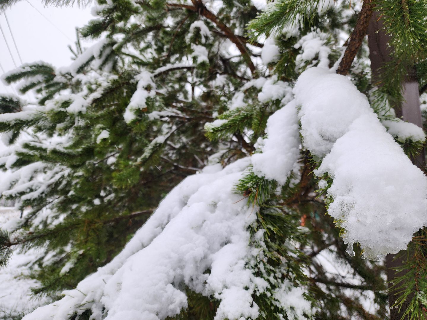 ногинск, жители,  снегопад, уборка снега, коммунальная служба, жкх,
