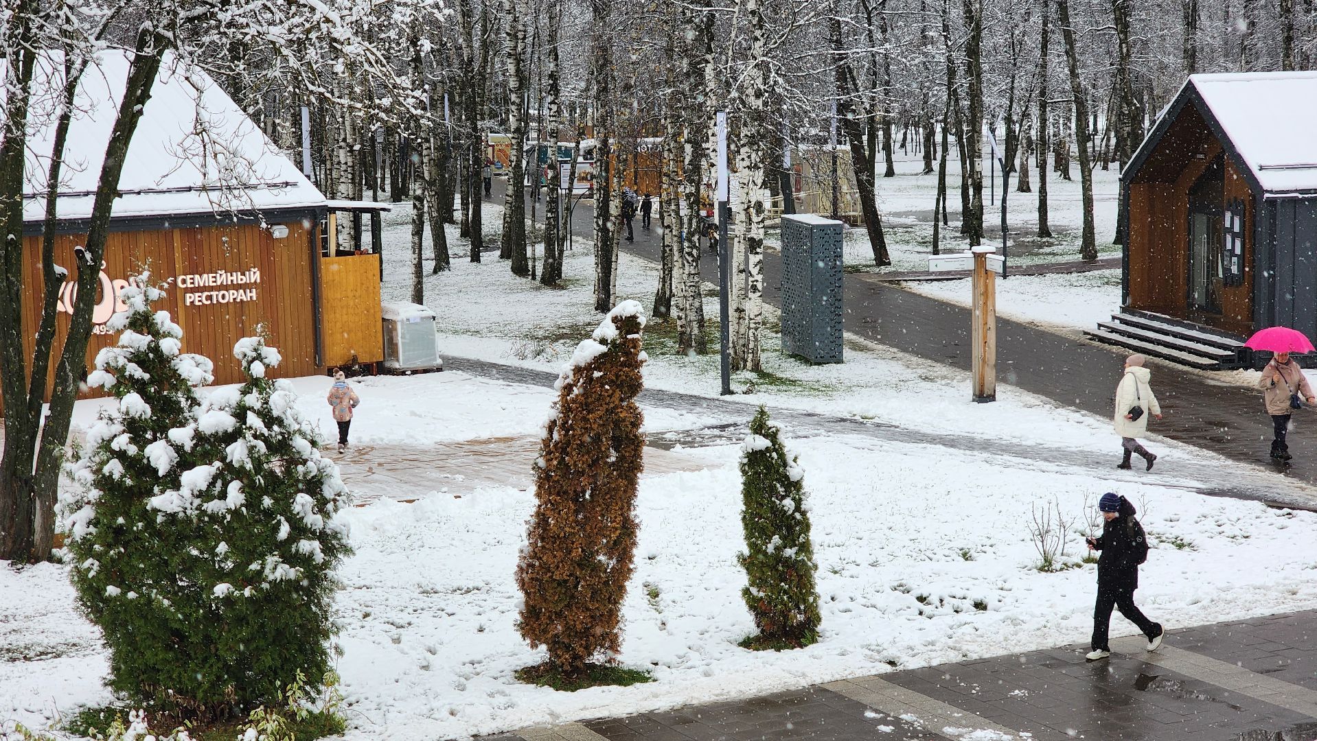 Снегопад, Уборка снега, Центральный парк Лобни , Лобня,