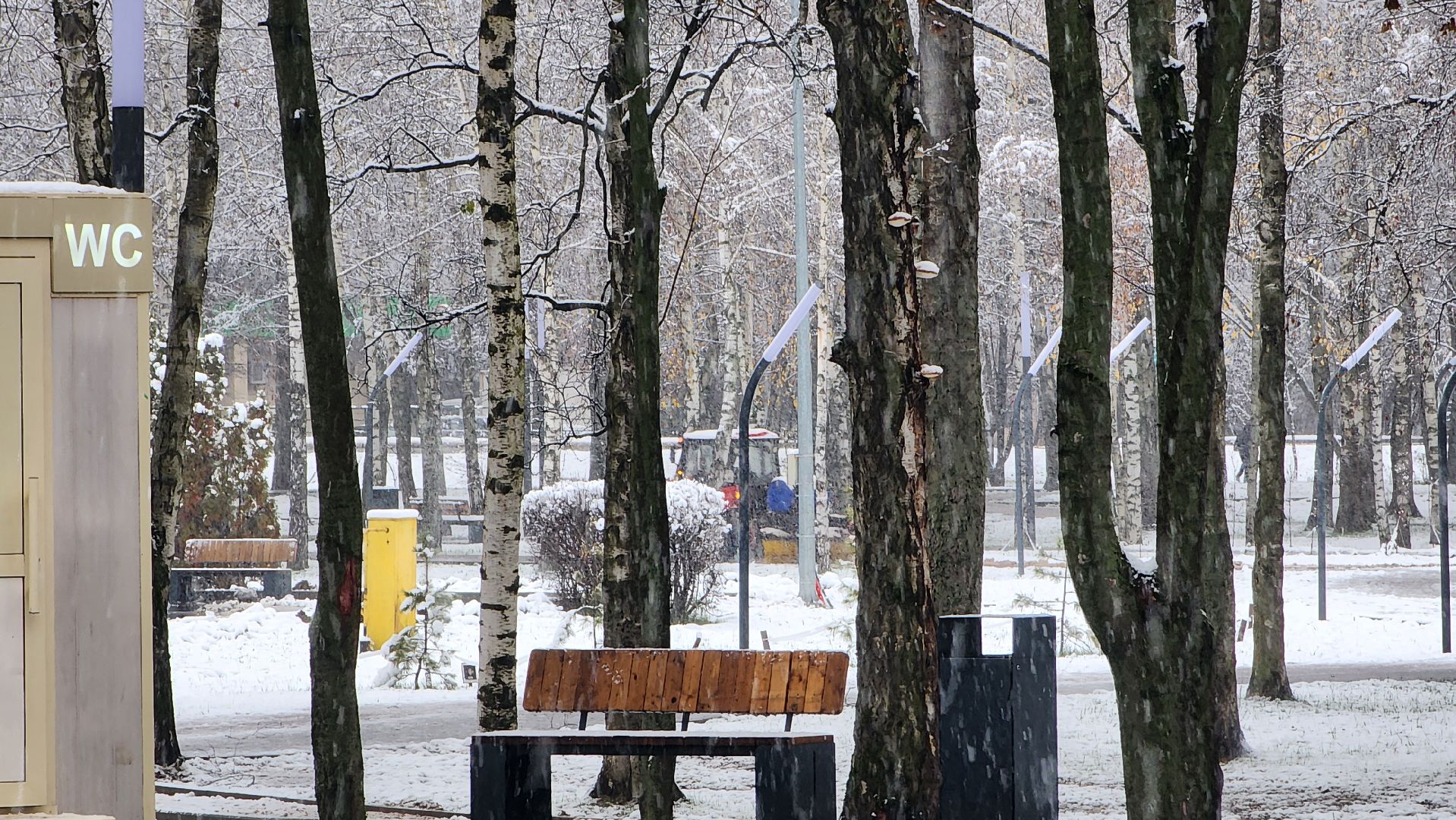 Снегопад, Уборка снега, Центральный парк Лобни , Лобня,