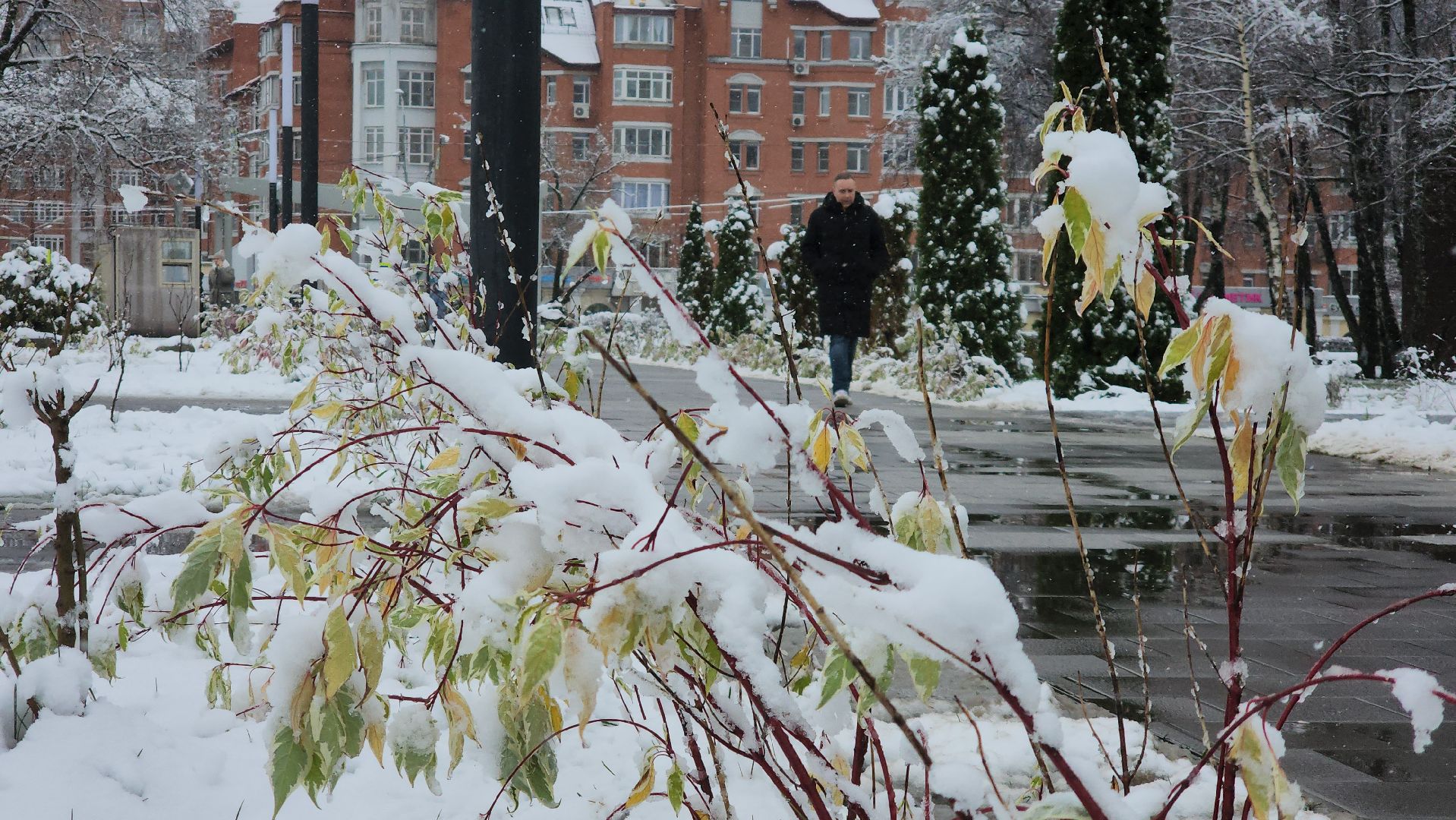Снегопад, Уборка снега, Центральный парк Лобни , Лобня,