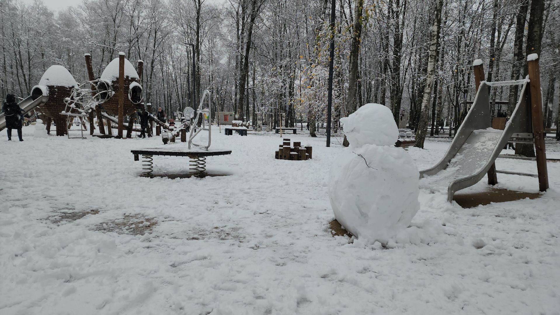 Снегопад, Уборка снега, Центральный парк Лобни , Лобня,
