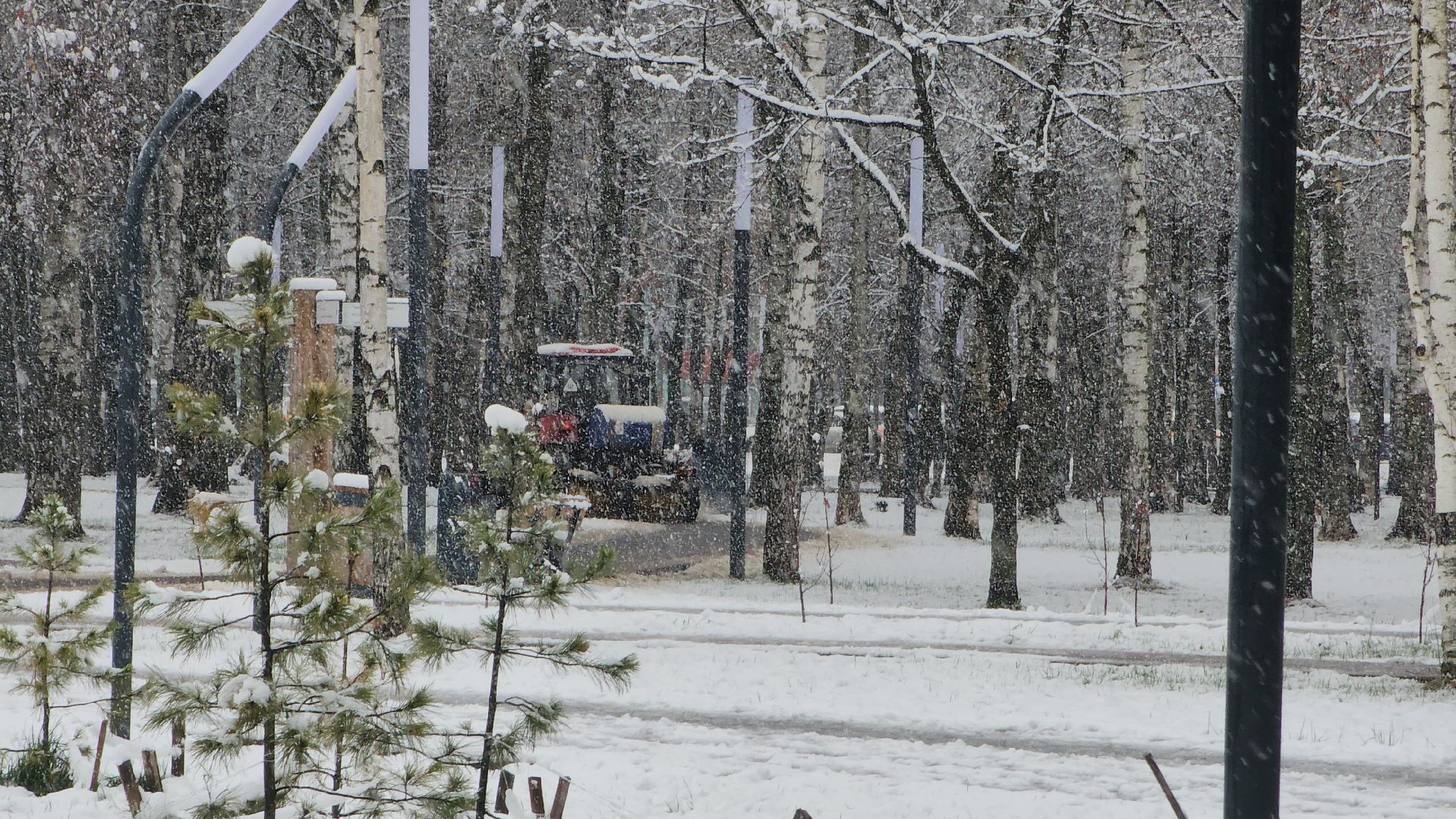 Снегопад, Уборка снега, Центральный парк Лобни , Лобня,