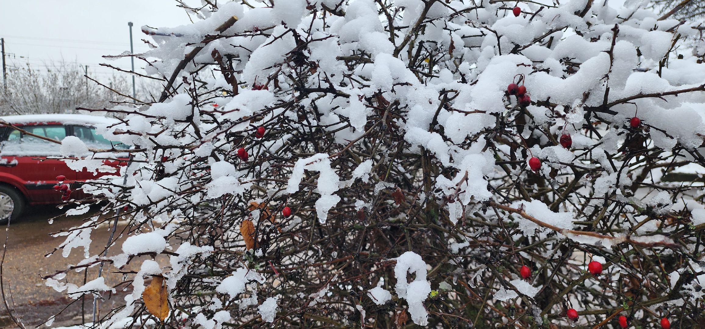 Истра , Снег, Уборка,