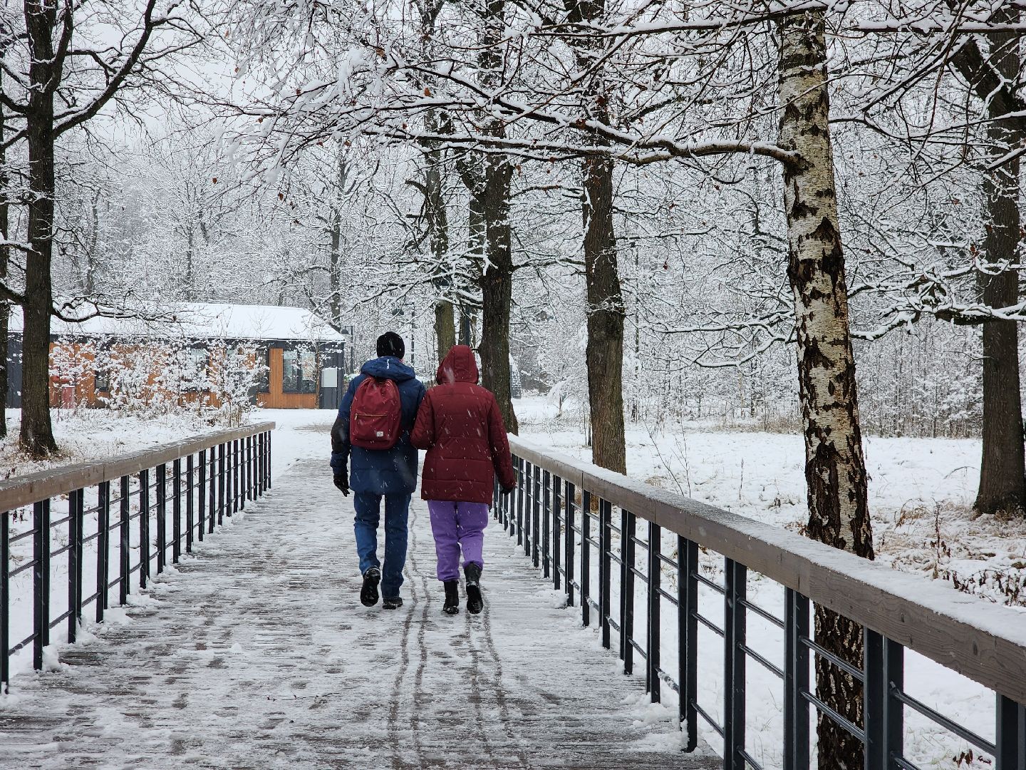 фрязино, снегопад, ликвидация последствий снегопада, снеговики, лесопарк, дворники,