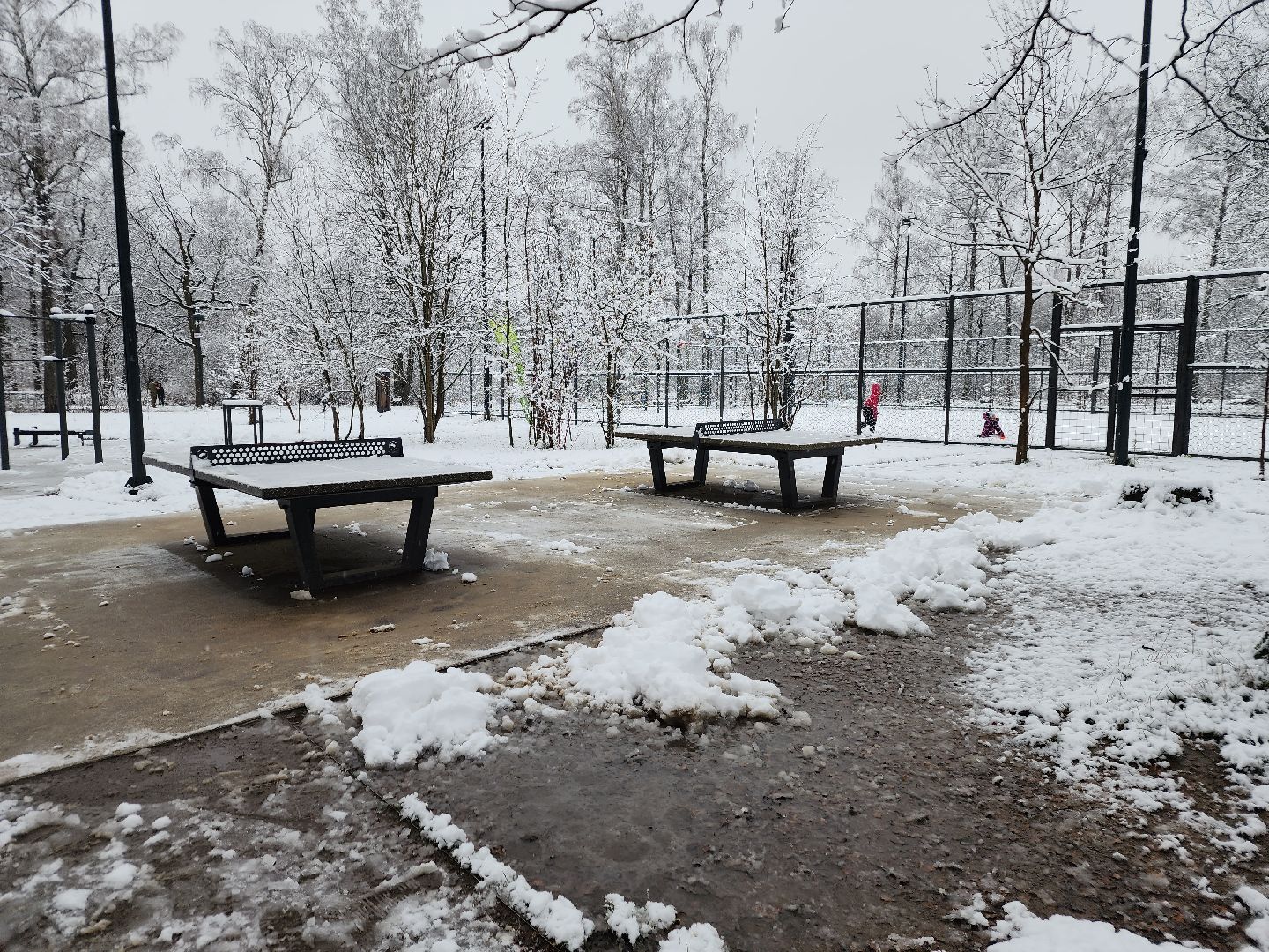 фрязино, снегопад, ликвидация последствий снегопада, снеговики, лесопарк, дворники,