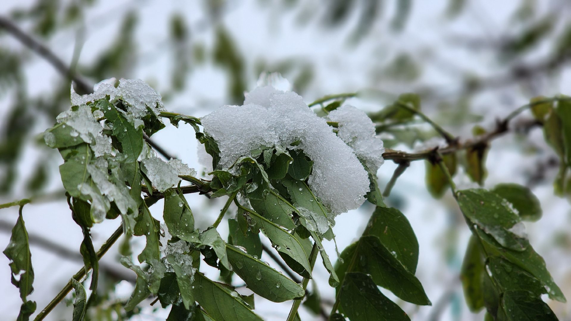 Руза, благоустройство, Первый снег, Уборка снега,
