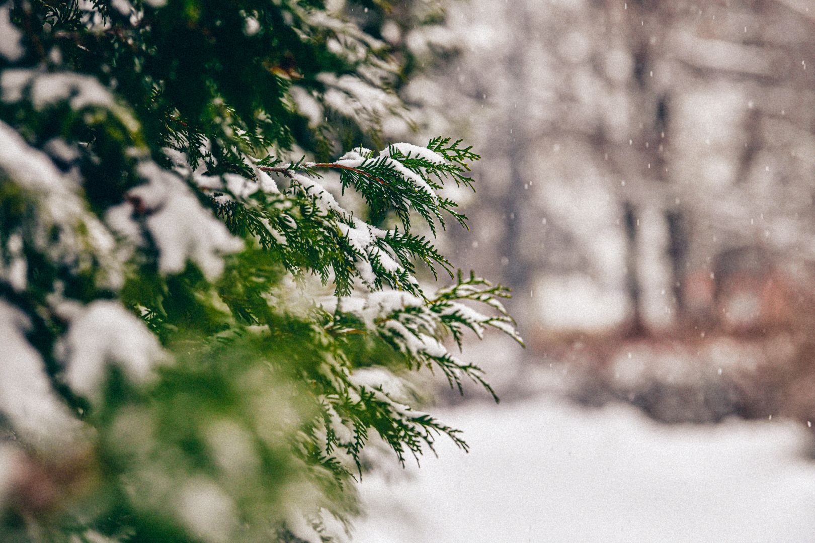 снег, погода, уборка,