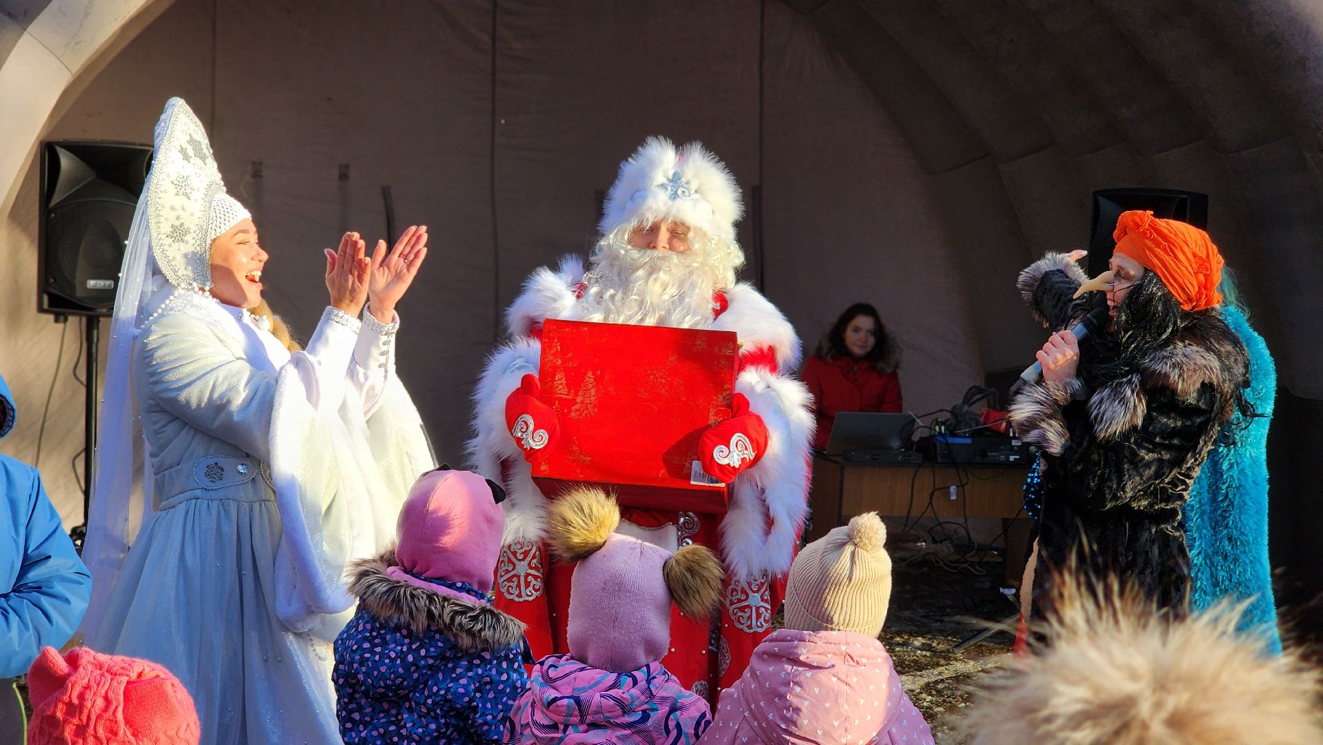 Руза, парк городок, день рождения деда мороза,