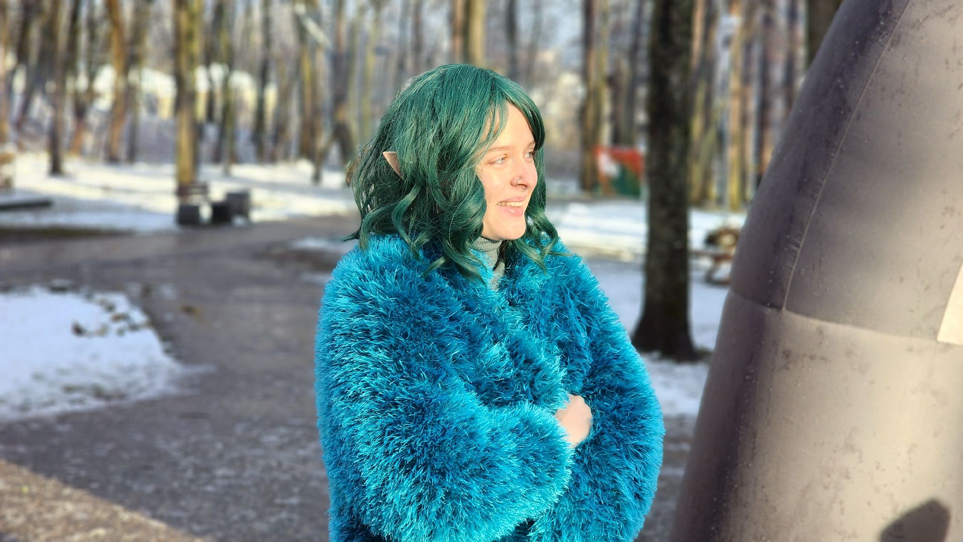 Руза, парк городок, день рождения деда мороза,