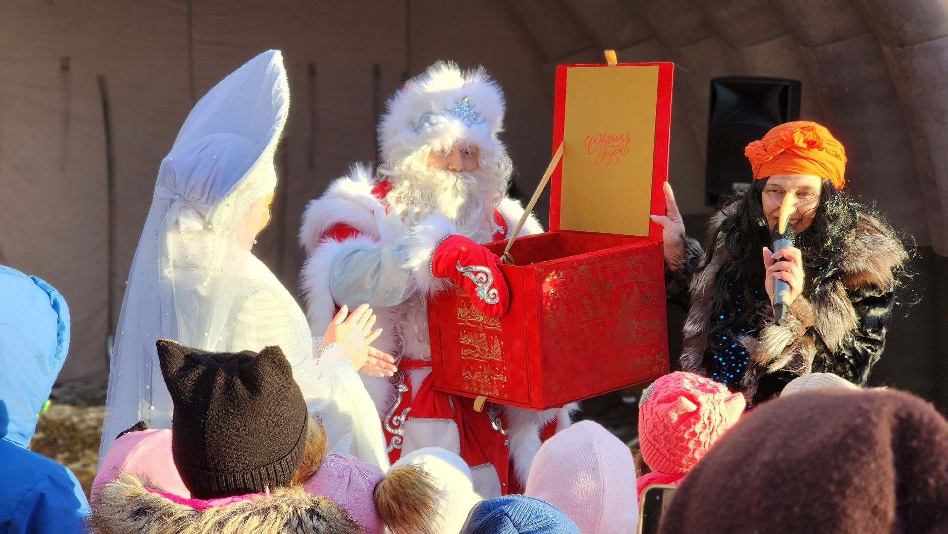 Руза, парк городок, день рождения деда мороза,