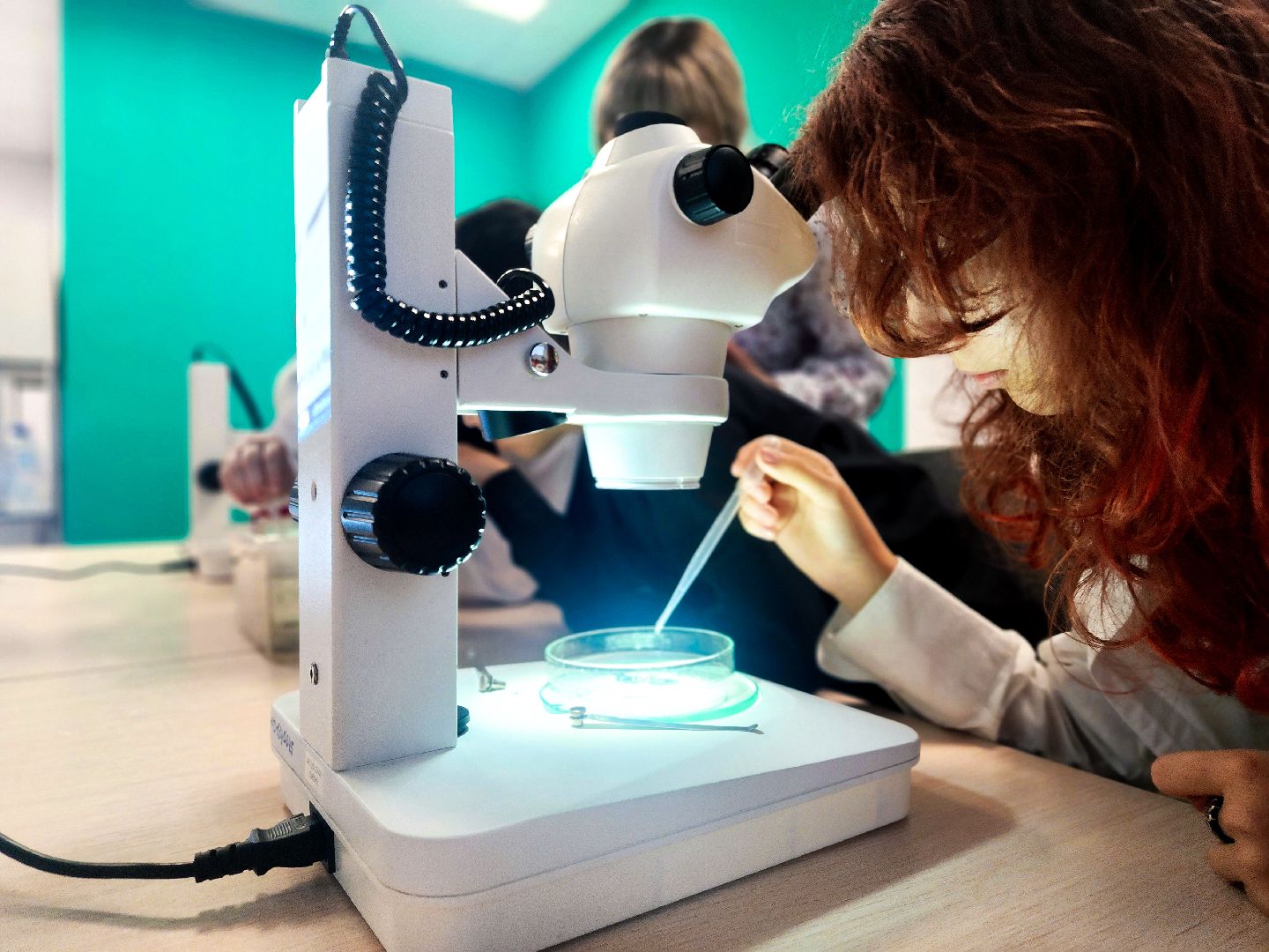 пущино, серпухов, образование, конференция школьников,