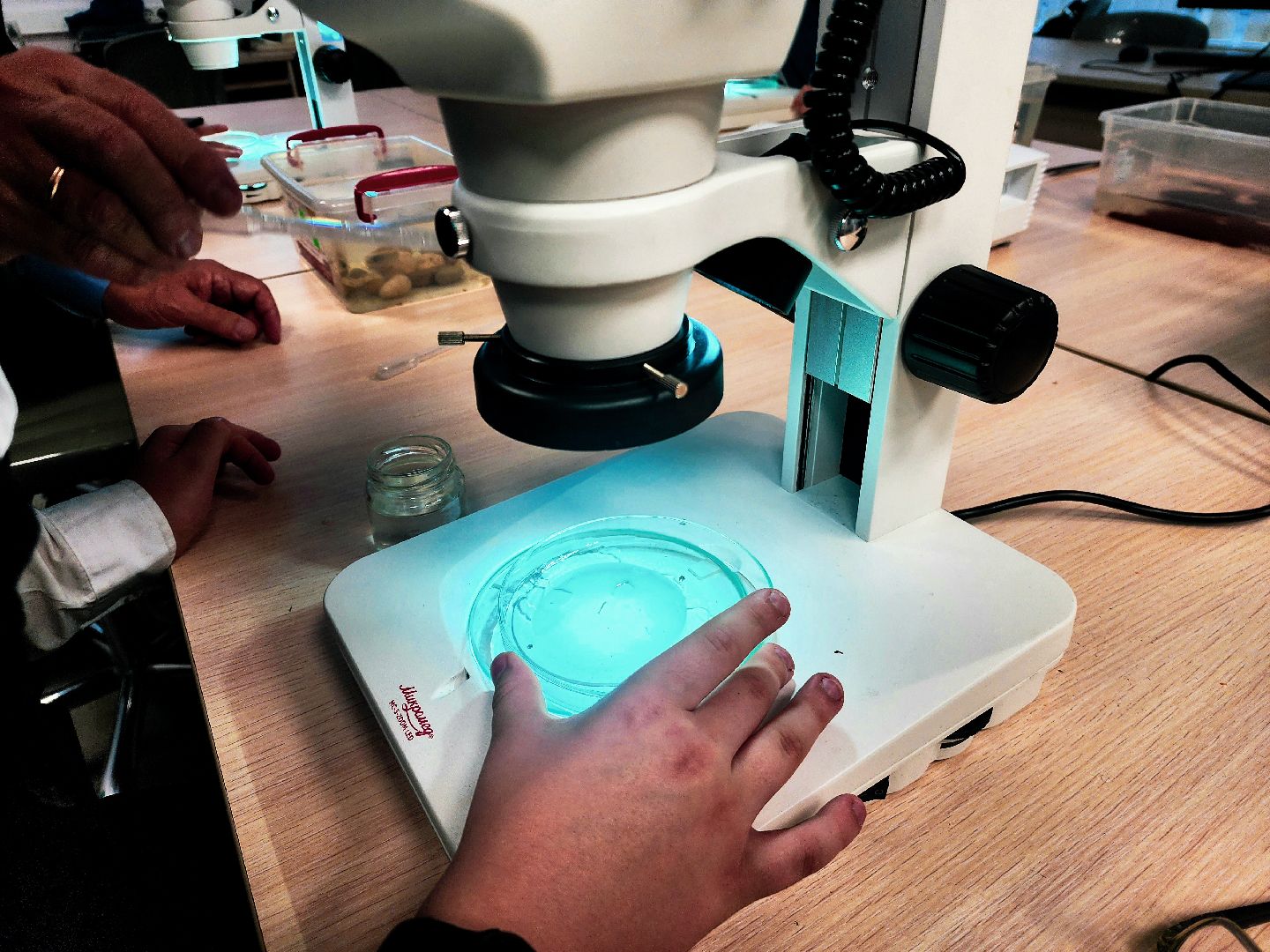 пущино, серпухов, образование, конференция школьников,