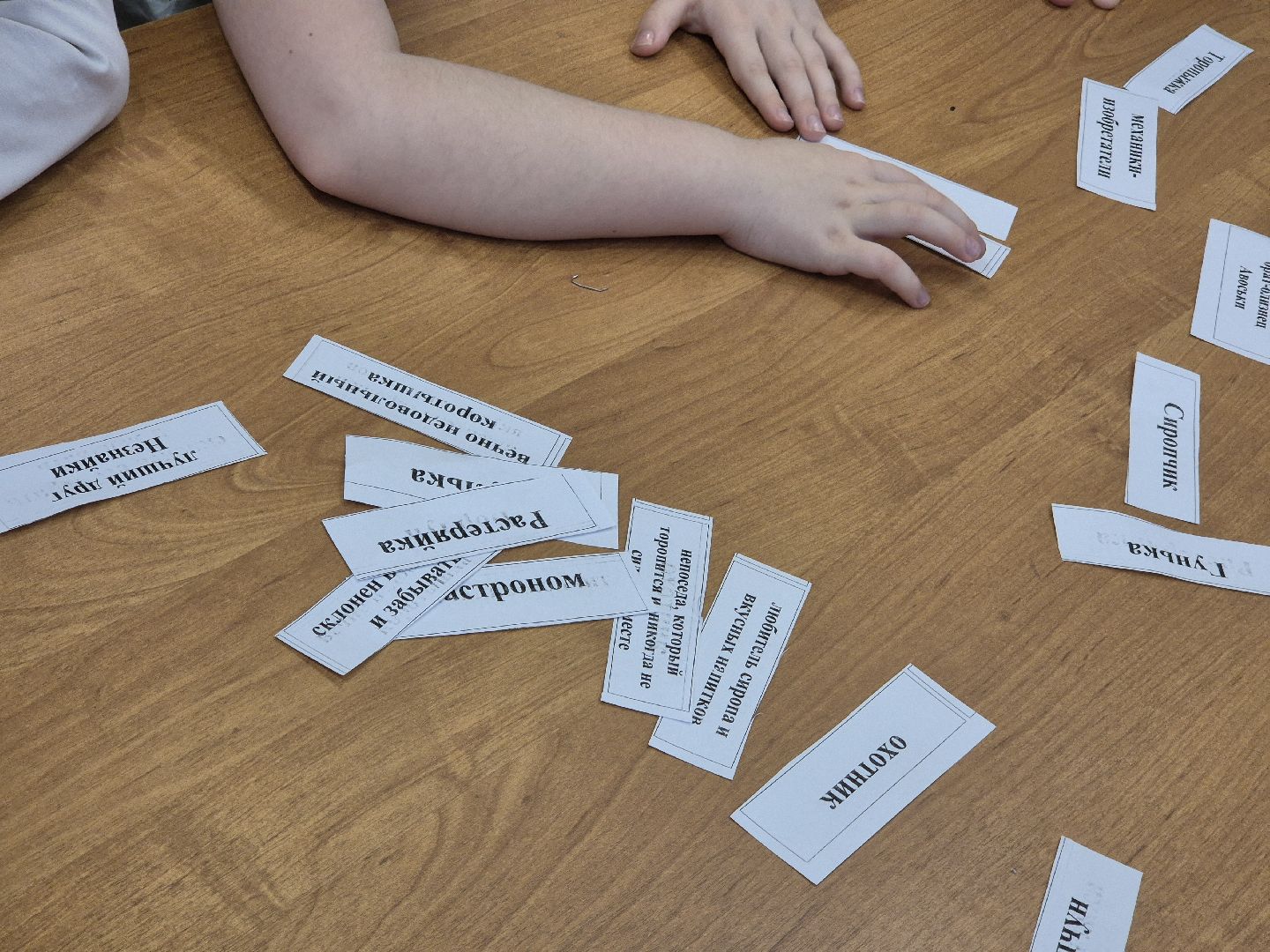 орехово-зуевский округ, деревня демихово, детский лагерь,