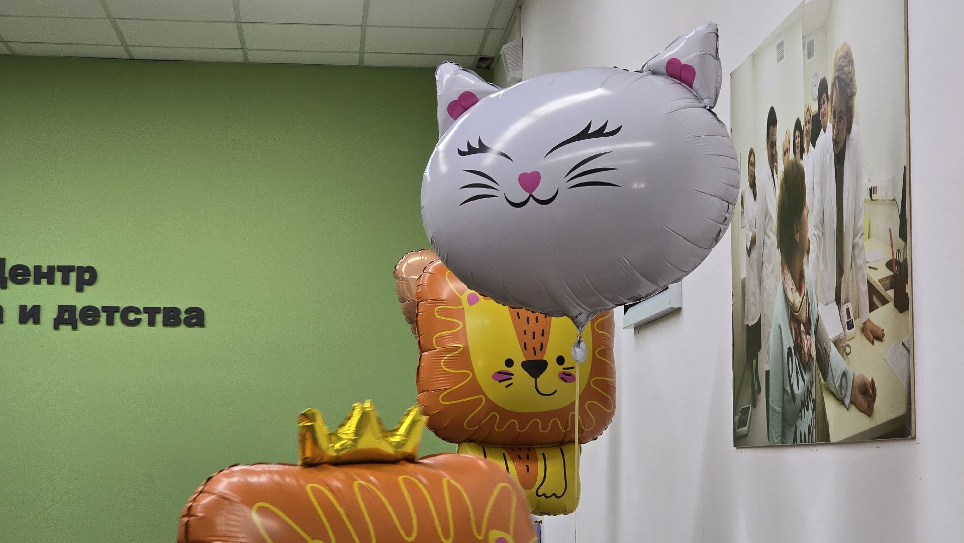 Коломна, коломенский перинатальный центр, день недоношенного ребенка,