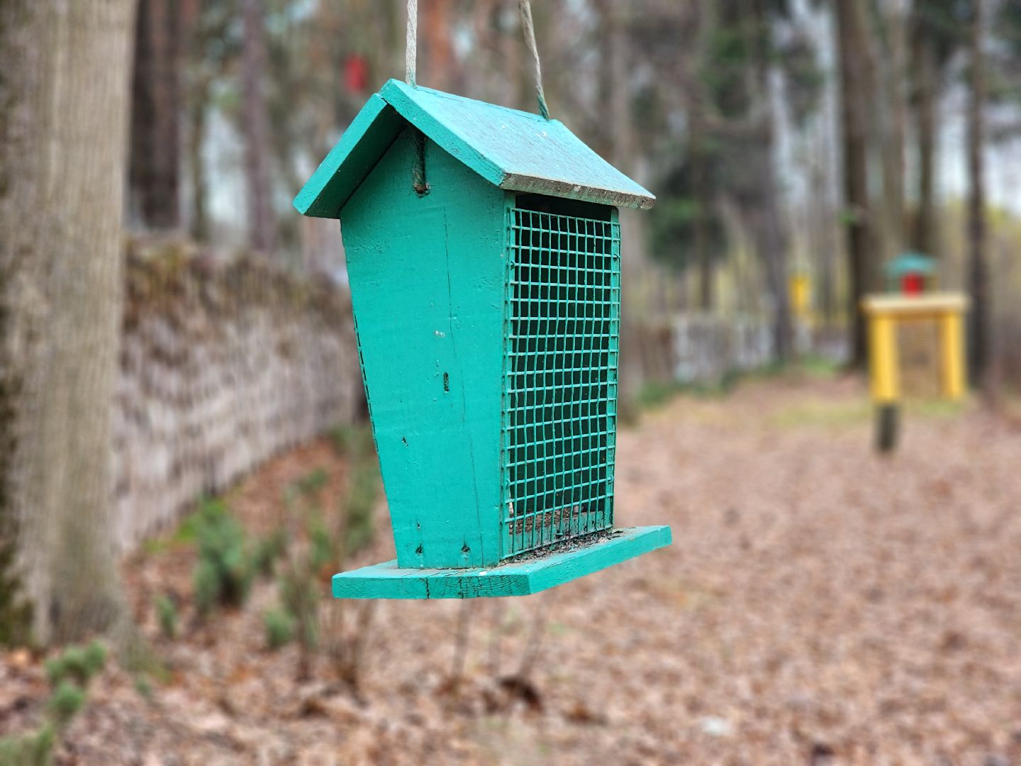 благоустройство, реконструкция, парк, ногинск, богородский городской округ,