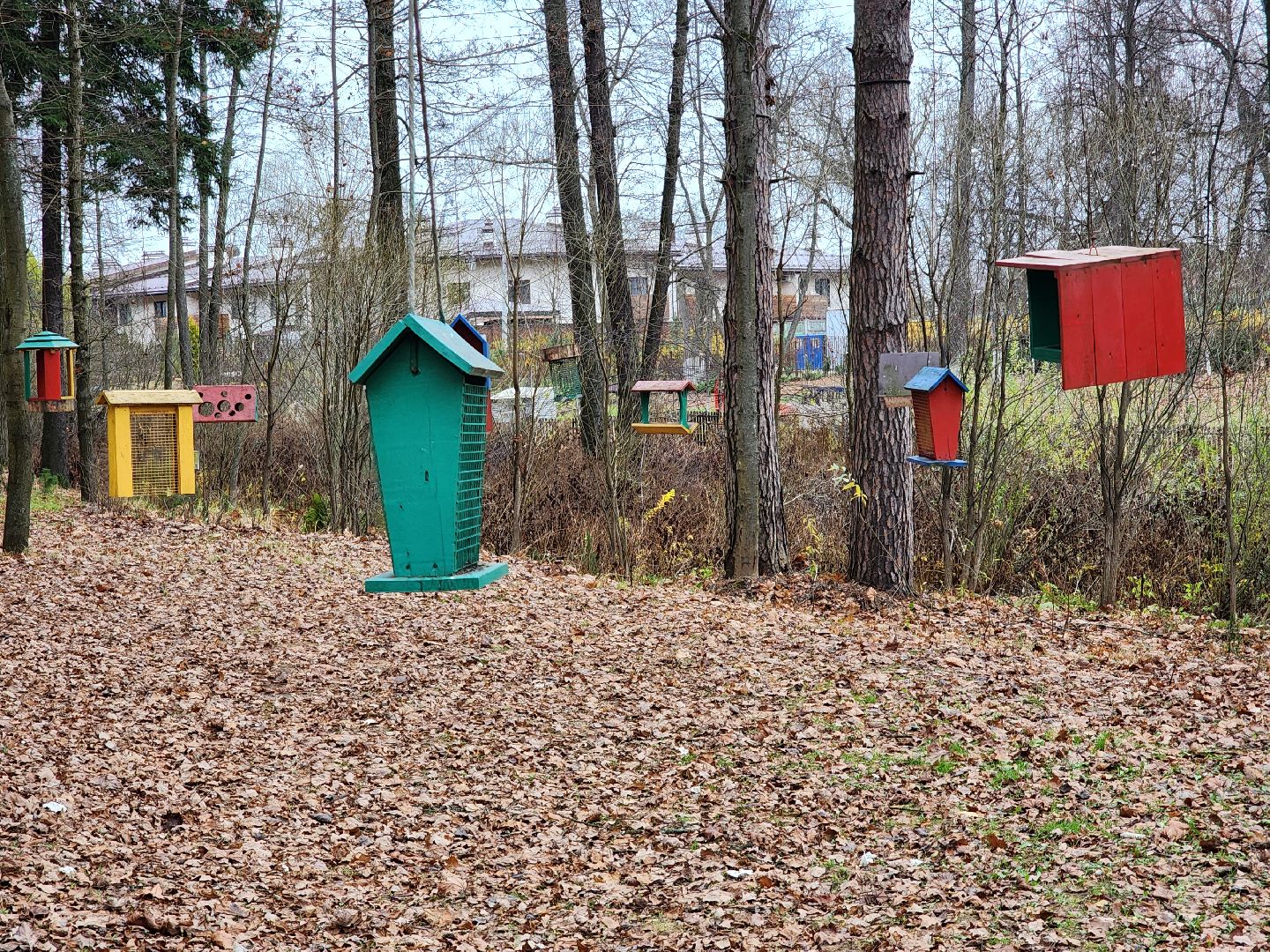 благоустройство, реконструкция, парк, ногинск, богородский городской округ,