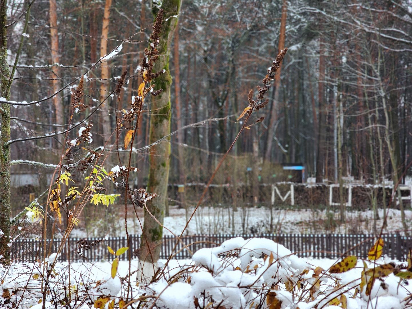 благоустройство, реконструкция, парк, ногинск, богородский городской округ,