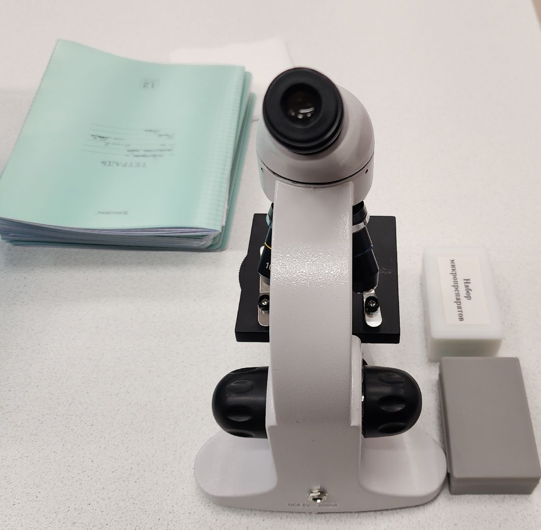 Образование , Новые технологии , Современная школа , Профориентация , Новая школа в микрорайоне Восточном , Образование в Звенигороде ,